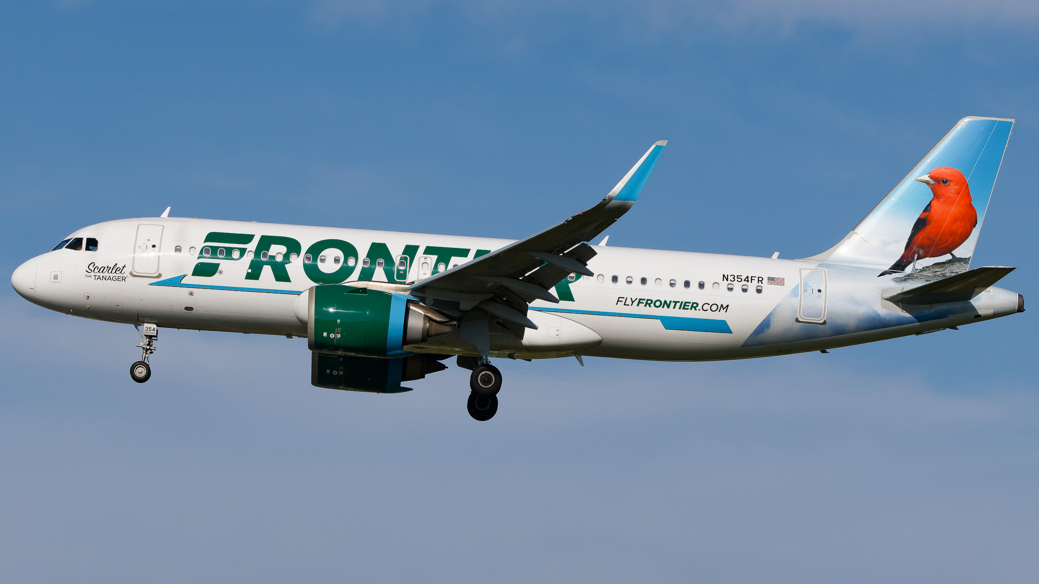 Full size: Frontier Airlines Airbus A320NEO N354FR at Tampa International Airport