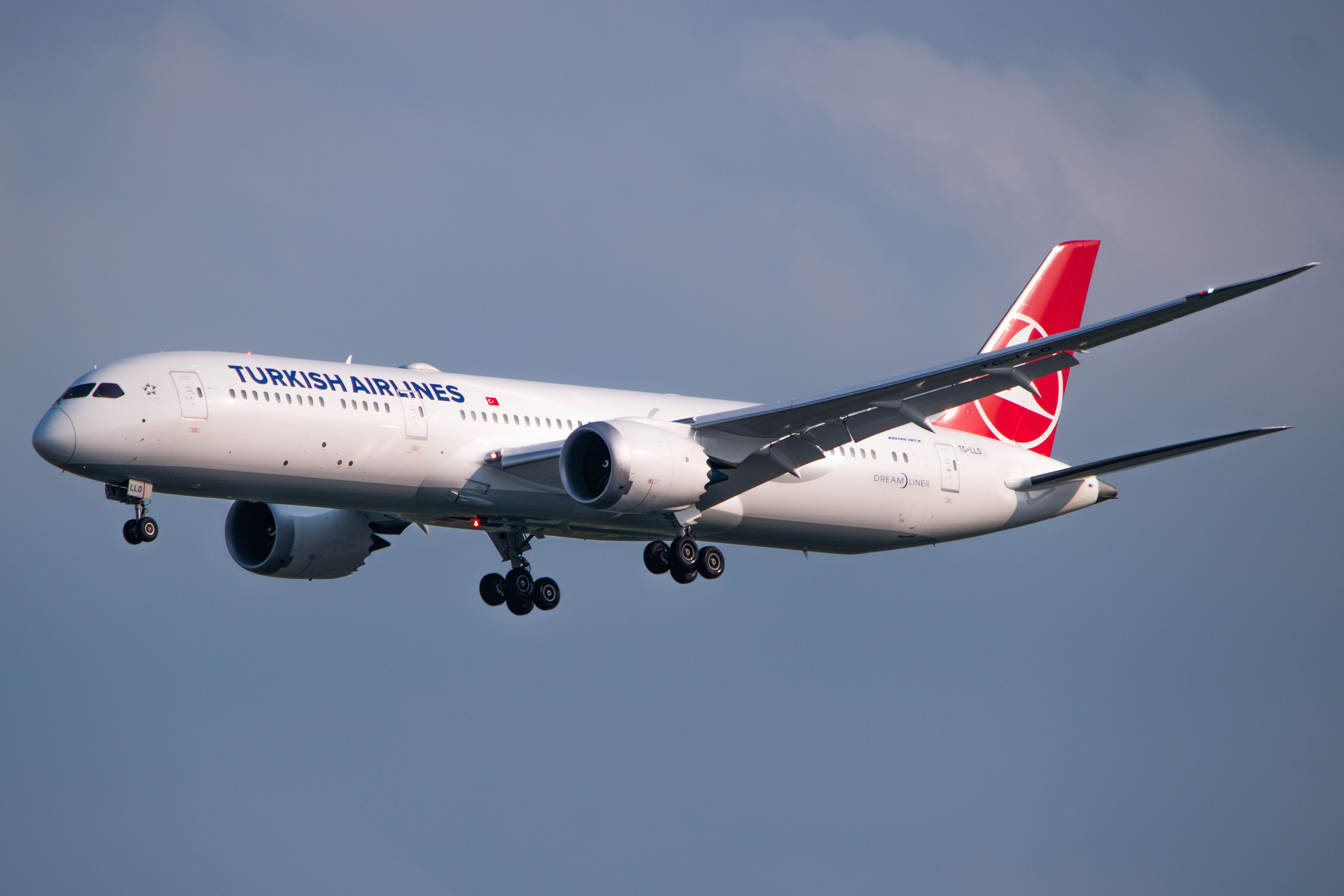 Full size: Turkish Airlines Boeing 787-9 TC-LLO at Singapore-Changi Airport