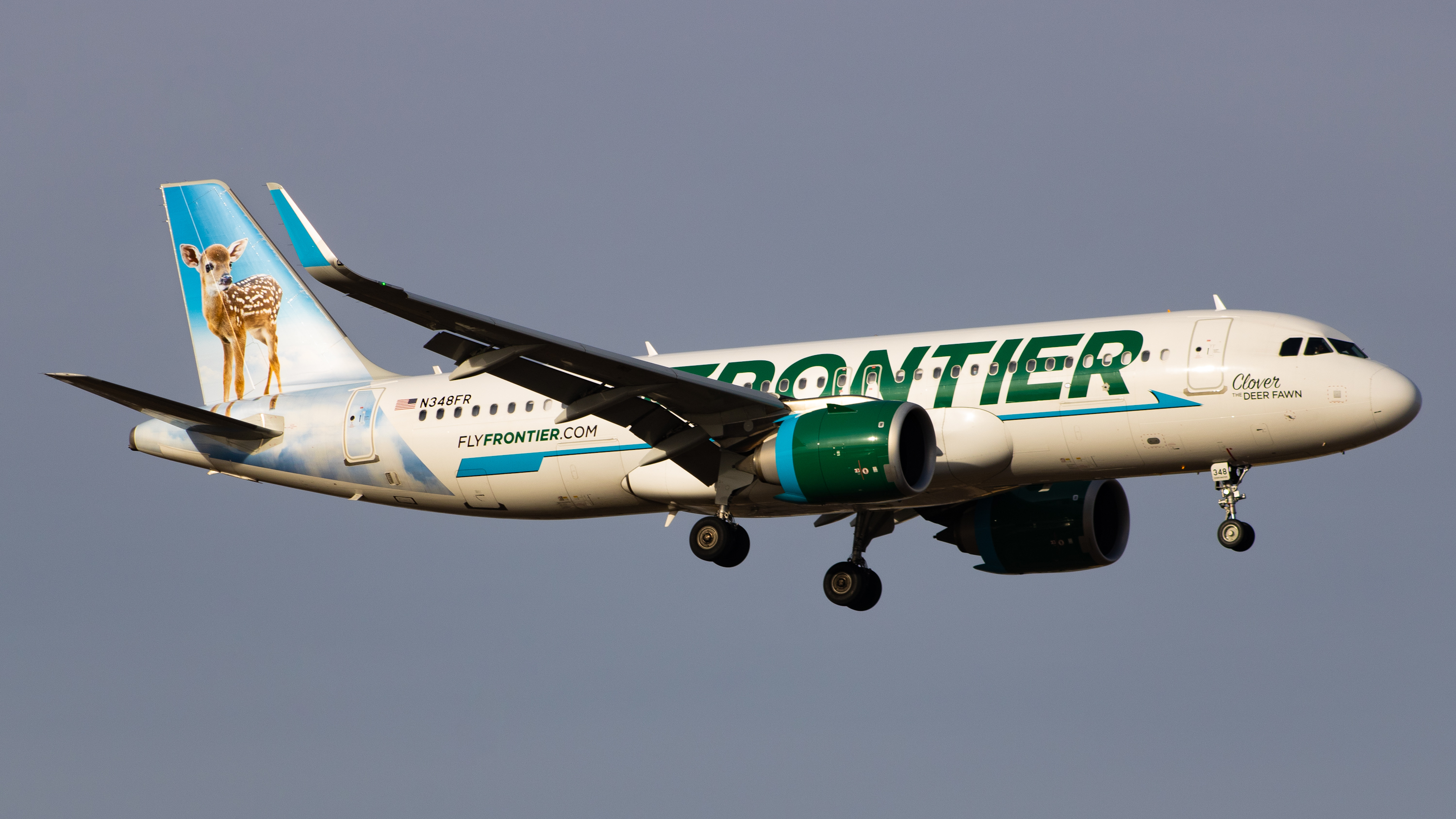 Full size: Frontier Airlines Airbus A320NEO N348FR at Bismarck Municipal Airport
