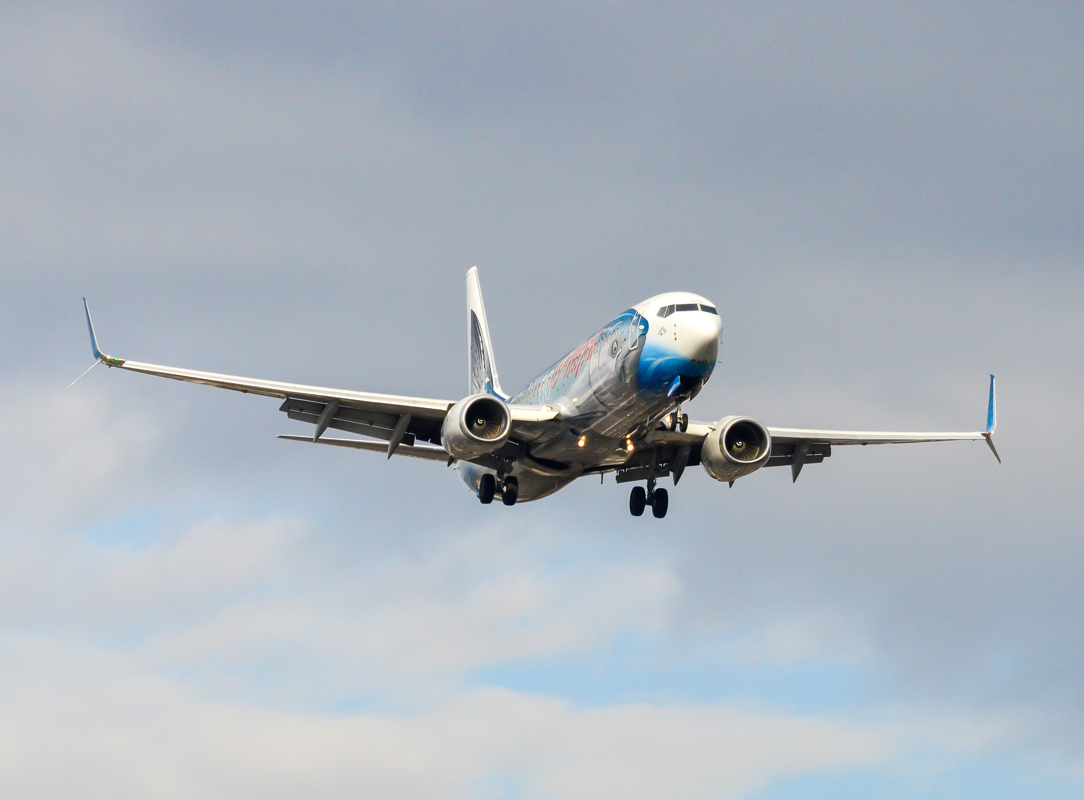 Full size: Alaska Airlines Boeing 737-800 N559AS at Newark Liberty International Airport
