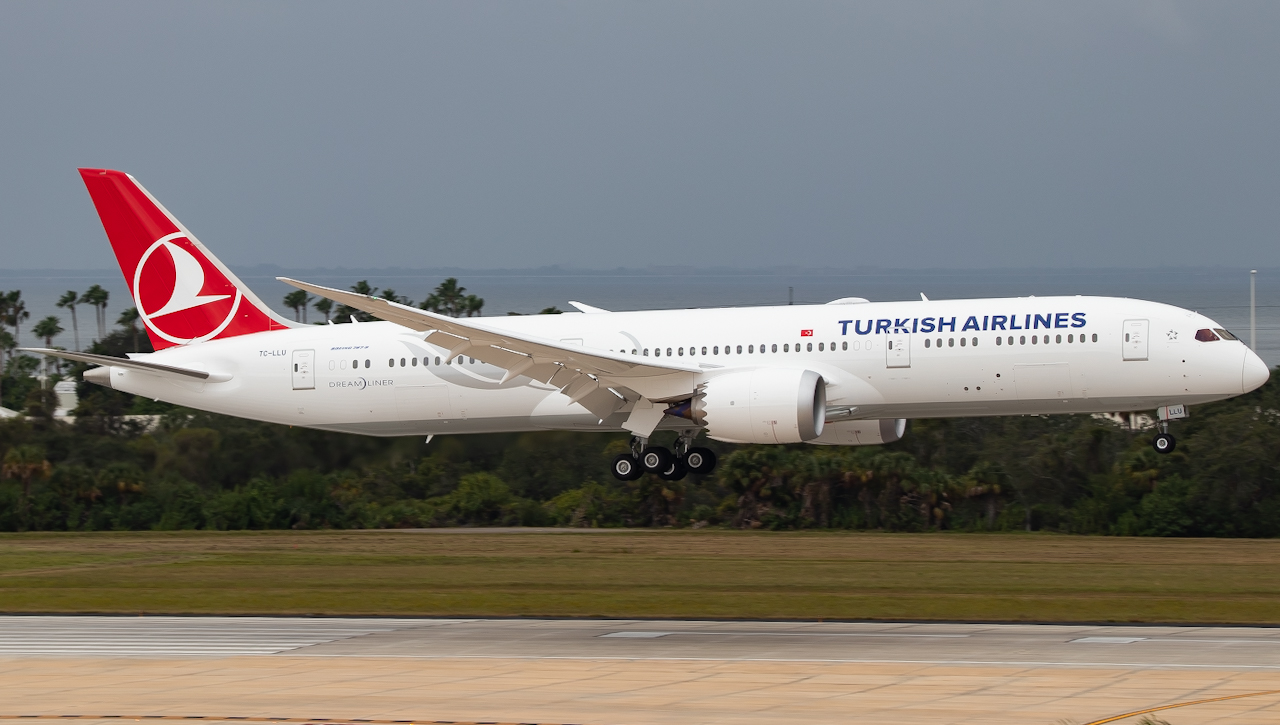 Full size: Turkish Airlines Boeing 787-9 TC-LLU at Tampa International Airport