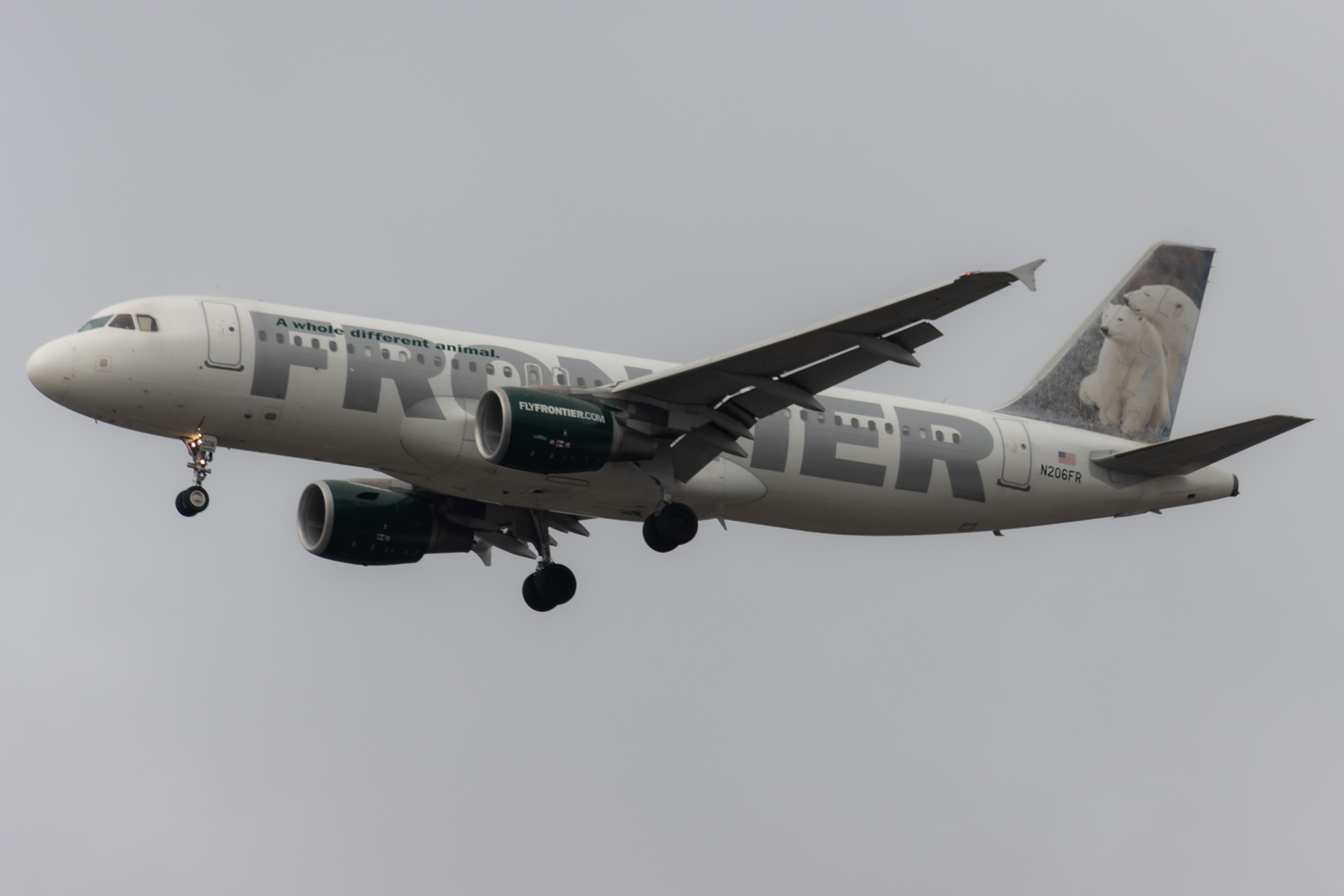 Full size: Frontier Airlines Airbus A320 N206FR at Seattle-Tacoma International Airport