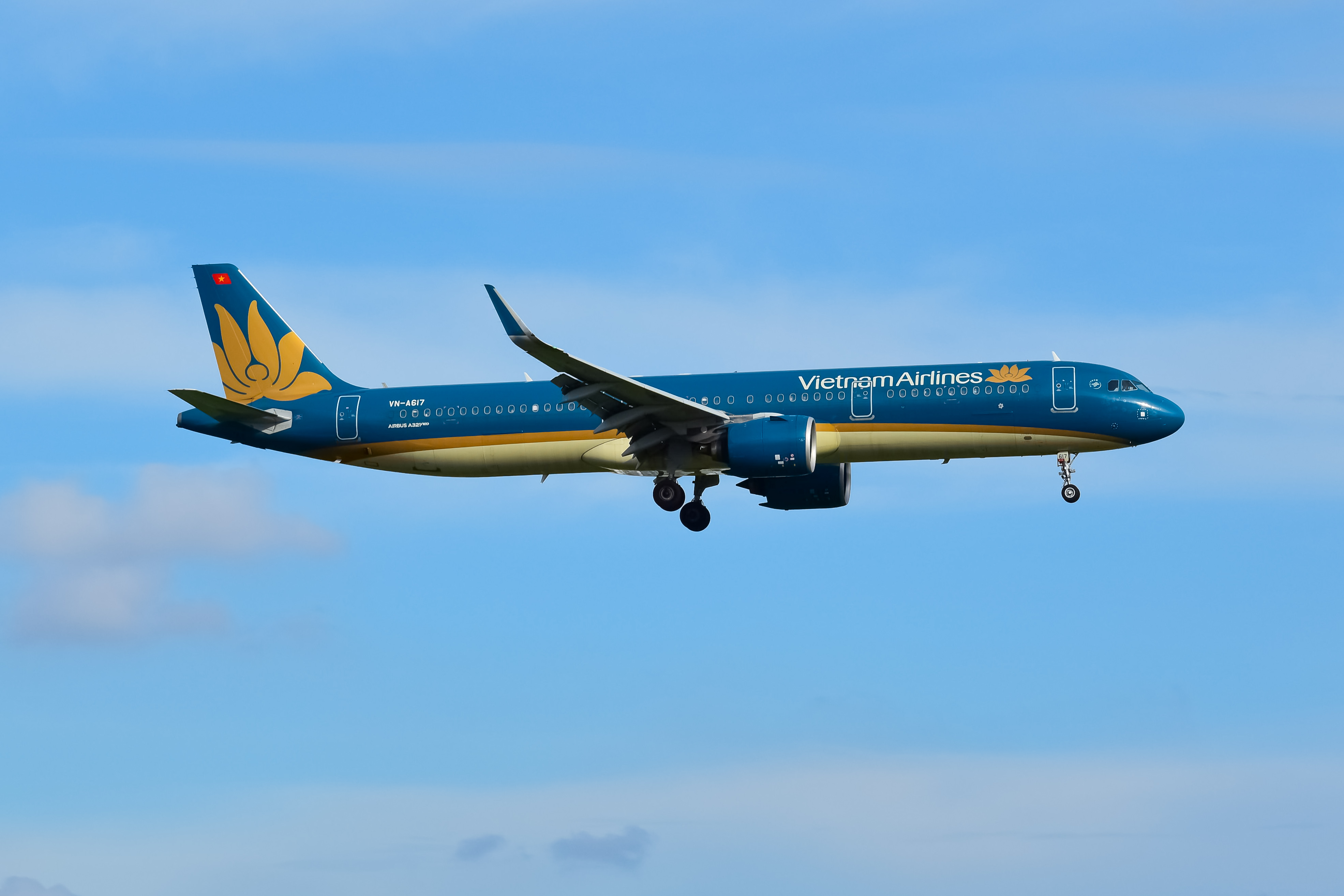 Full size: Vietnam Airlines Airbus A321NEO VN-A617 at Tan Son Nhat International Airport