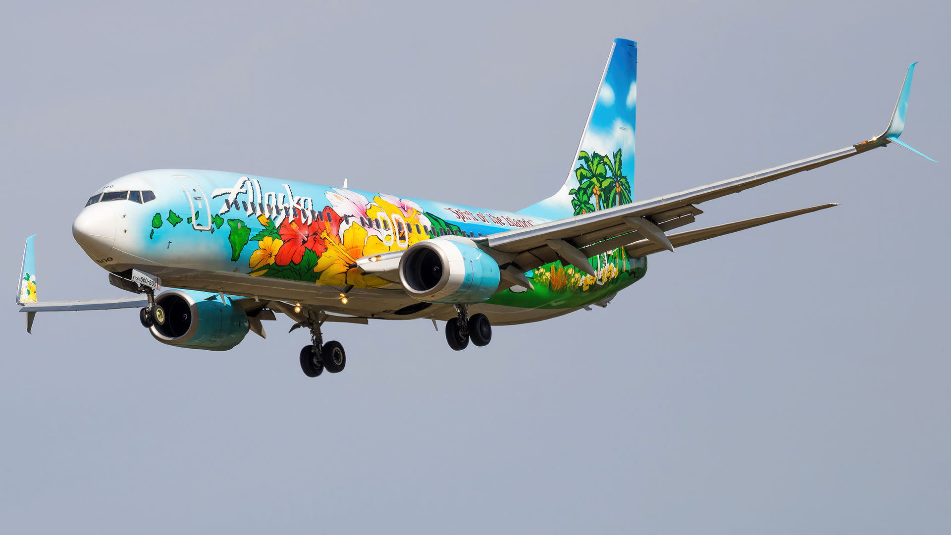 Full size: Alaska Airlines Boeing 737-800 N560AS at Baltimore/Washington International Thurgood Marshall Airport