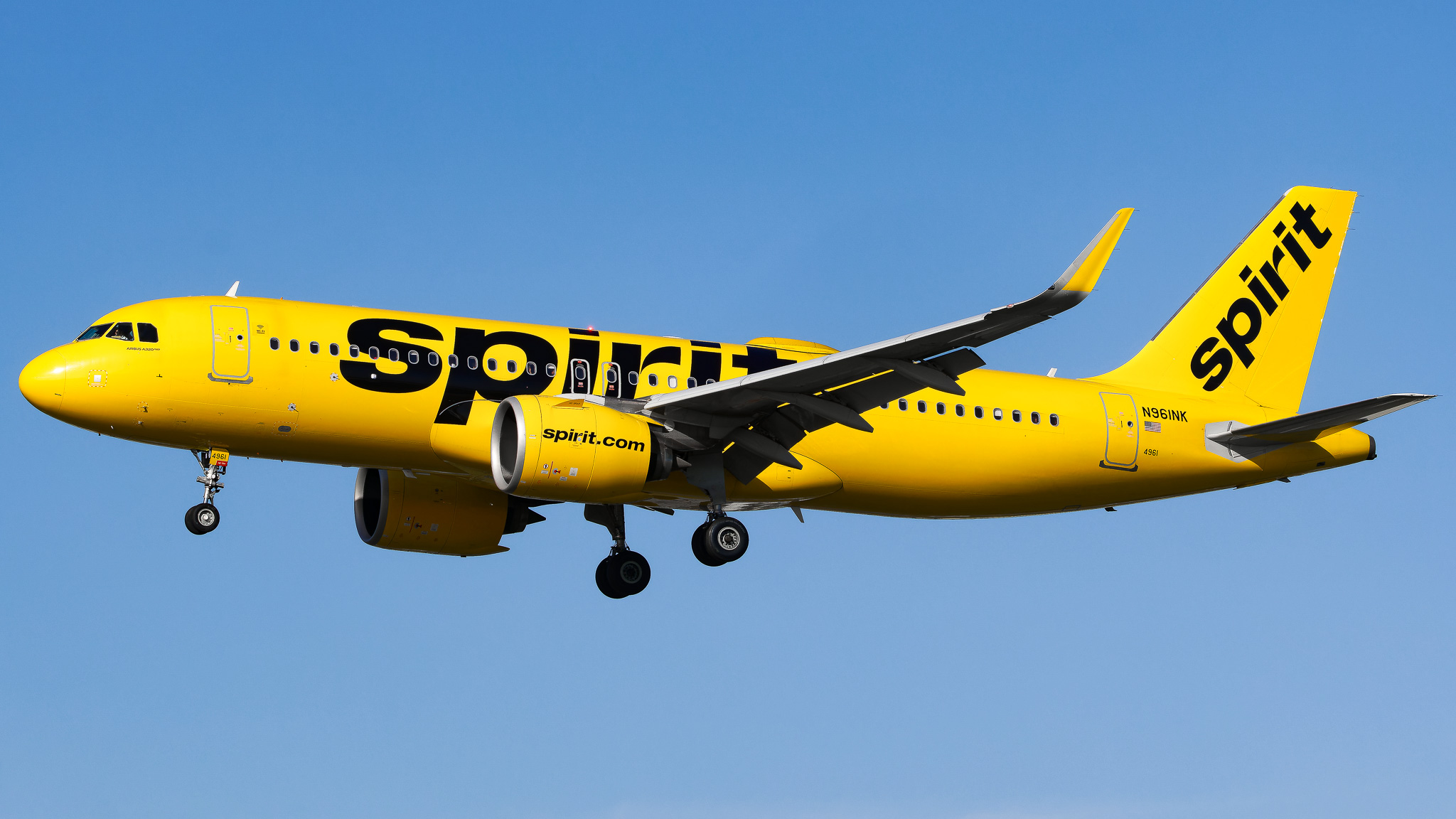 Full size: Spirit Airlines Airbus A320NEO N961NK at Tampa International Airport