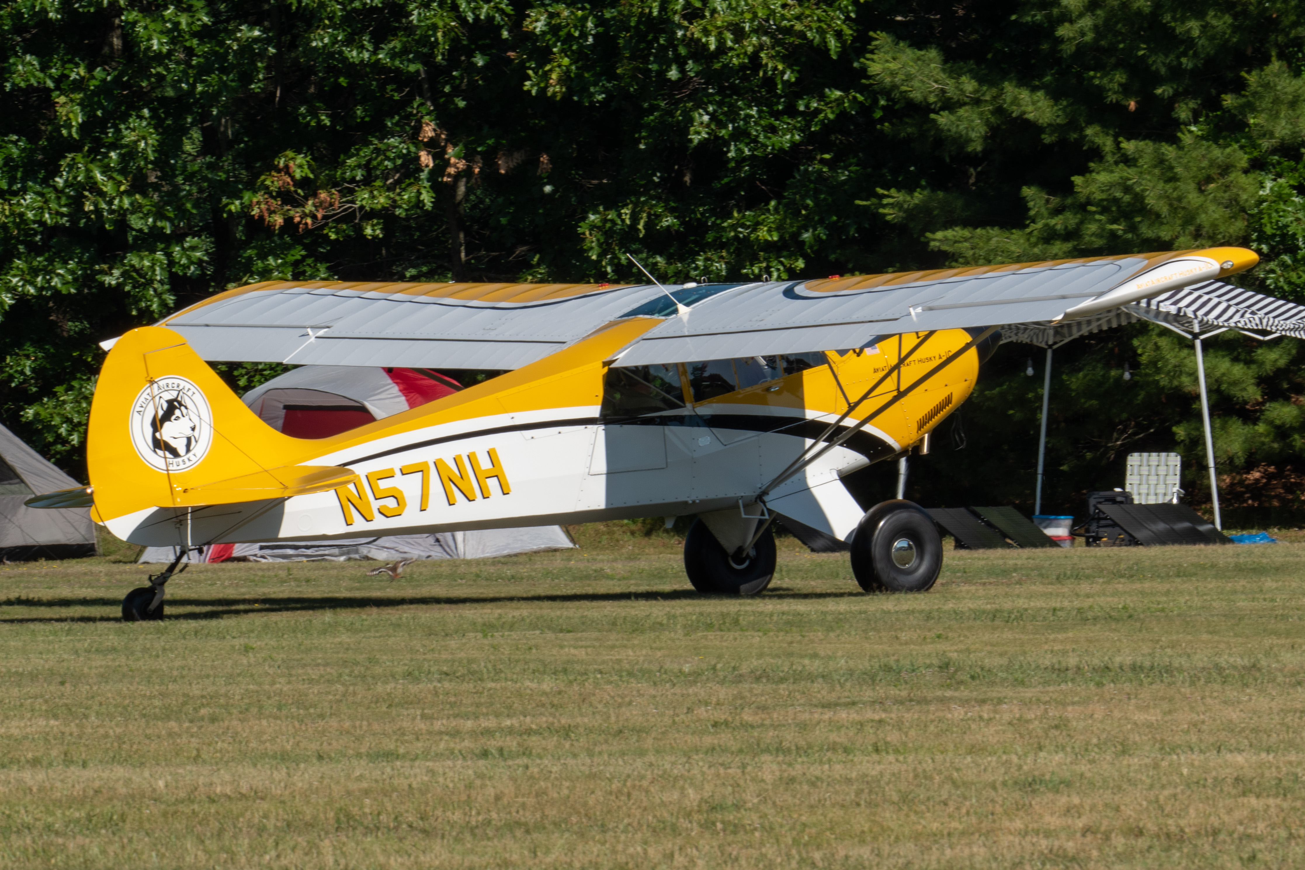 Full size: PRIVATE Aviat Husky A-1 N57NH at 