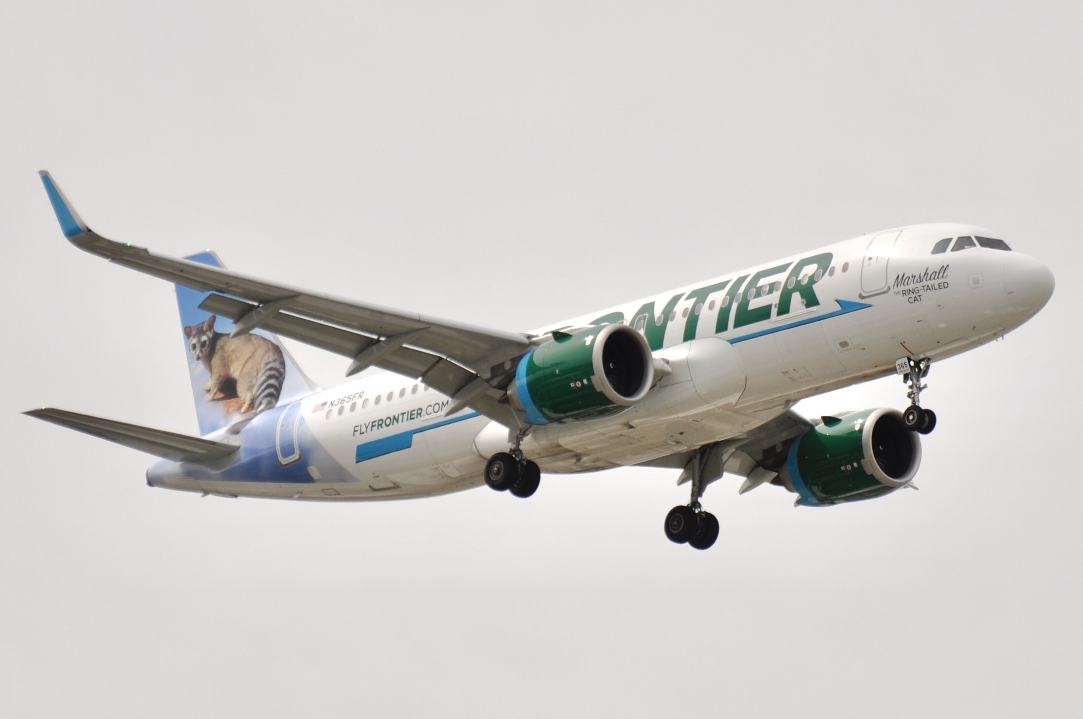 Full size: Frontier Airlines Airbus A320NEO N365FR at Chicago O'Hare International Airport