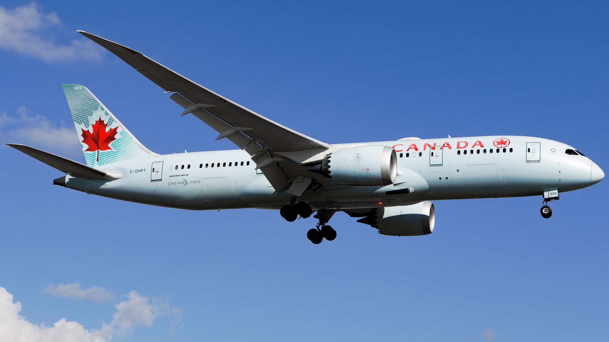 Full size: Air Canada Boeing 787-8 C-GHPT at Tampa International Airport