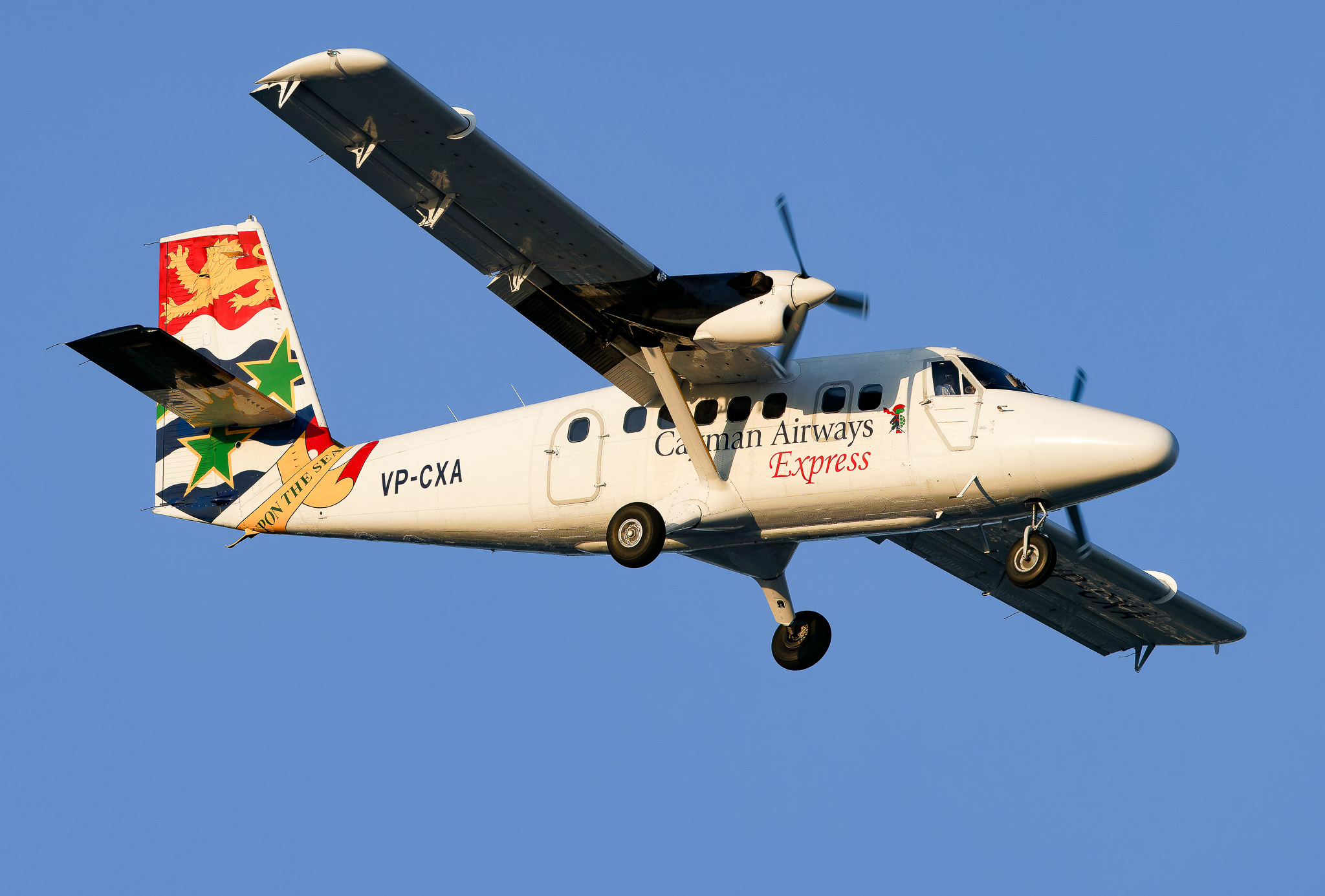 Full size: Cayman Airways Express De Havilland DHC-6 VP-CXA at Tampa International Airport
