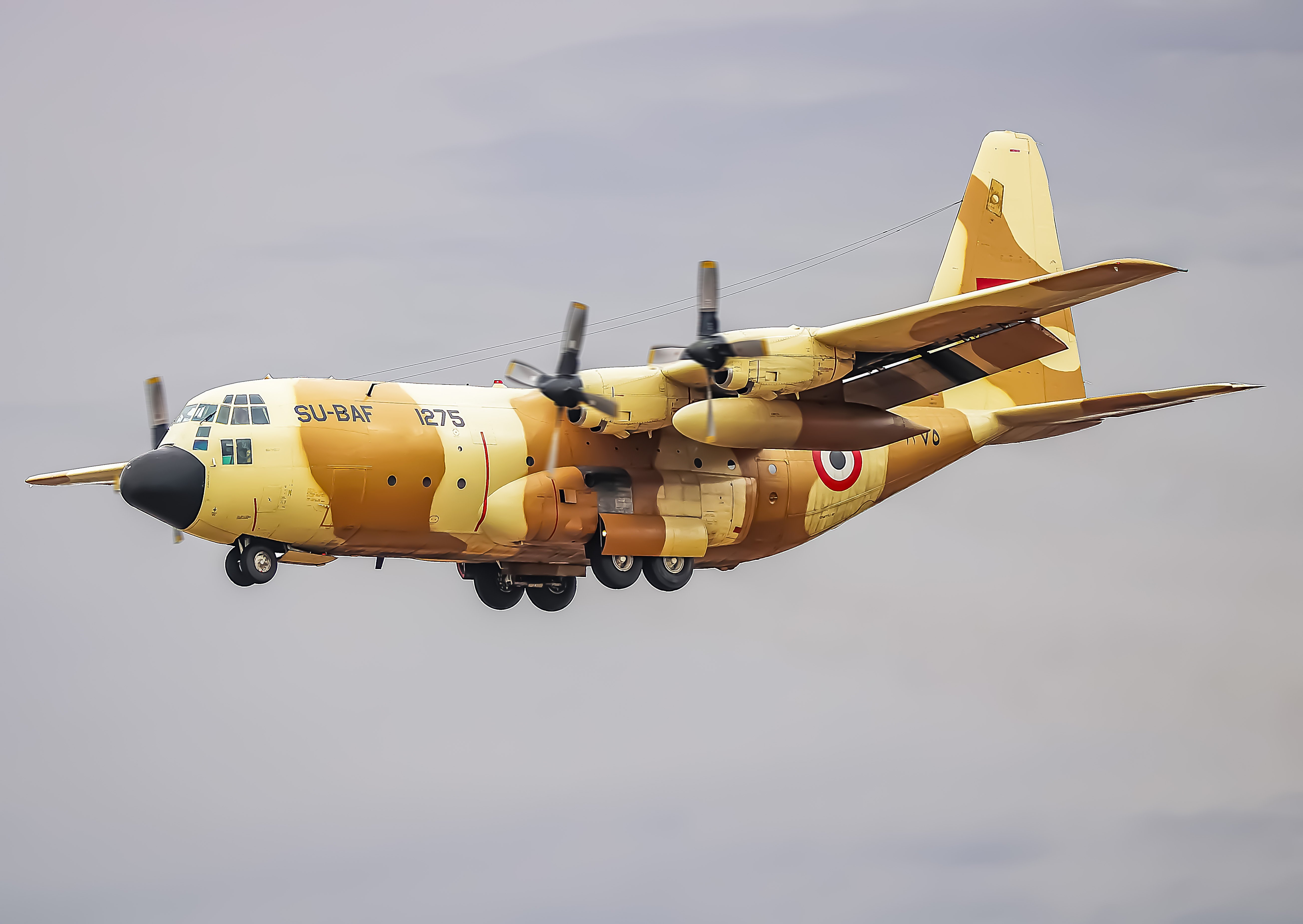 Full size: Egypt Air Force Lockheed C-130H Hercules SU-BAF at Baltimore/Washington International Thurgood Marshall Airport