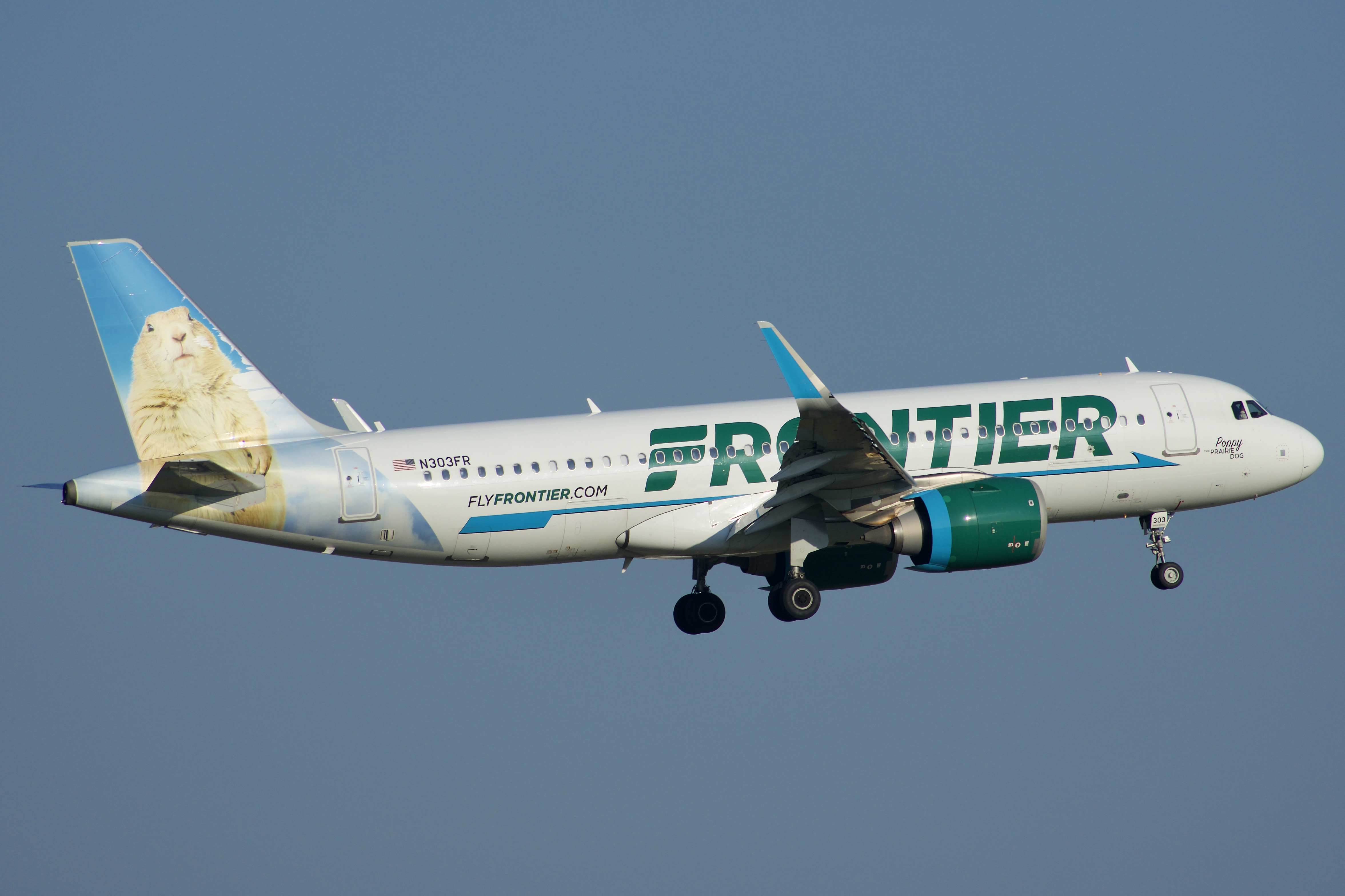 Full size: Frontier Airlines Airbus A320NEO N303FR at Green Bay-Austin Straubel International Airport