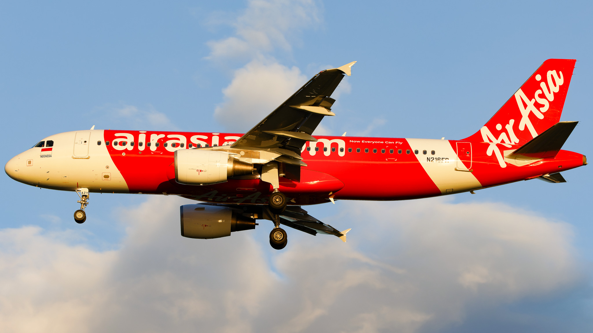 Full size: AirAsia Airbus A320 N216FR at Tampa International Airport