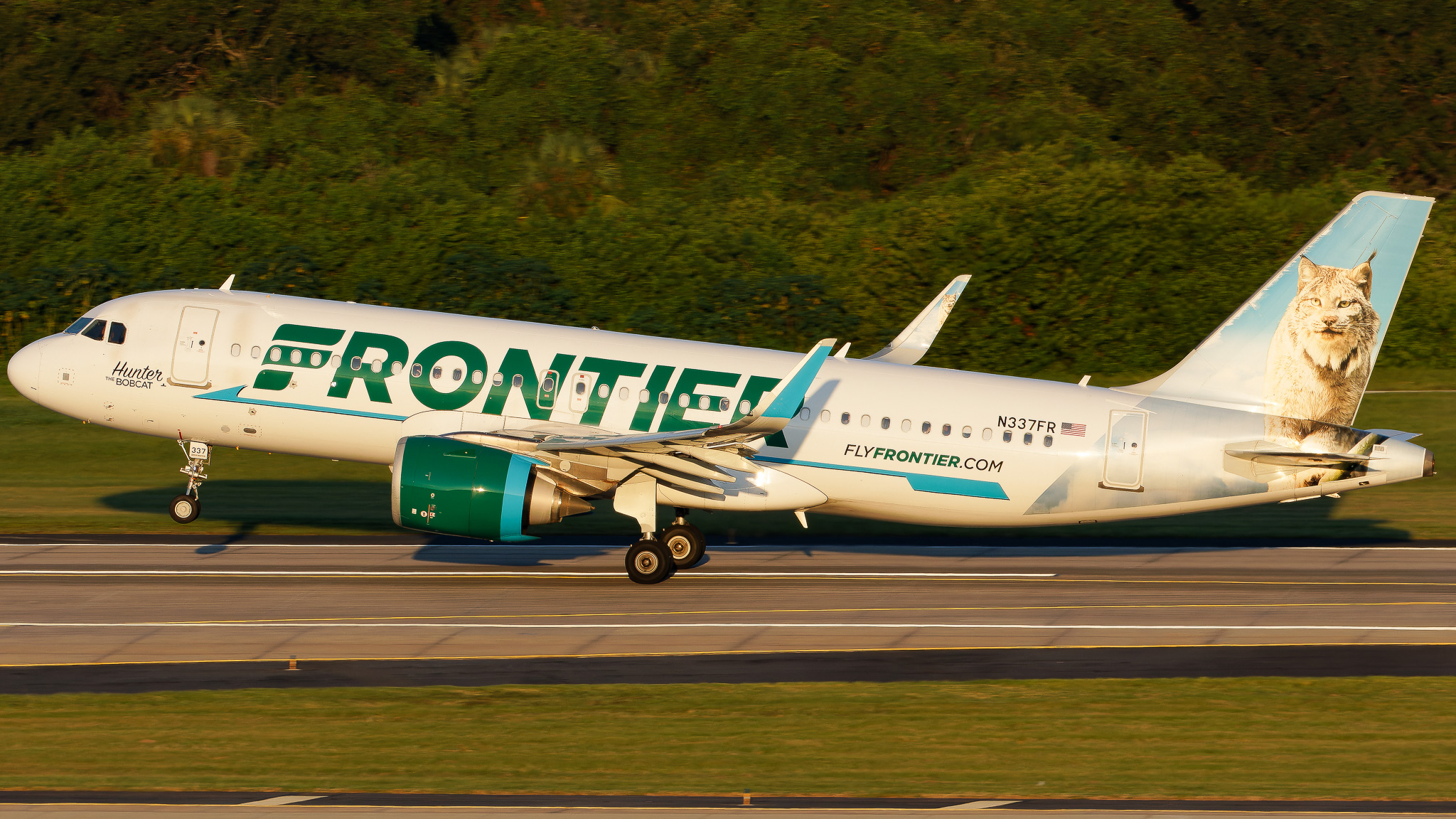 Full size: Frontier Airlines Airbus A320NEO N337FR at Tampa International Airport