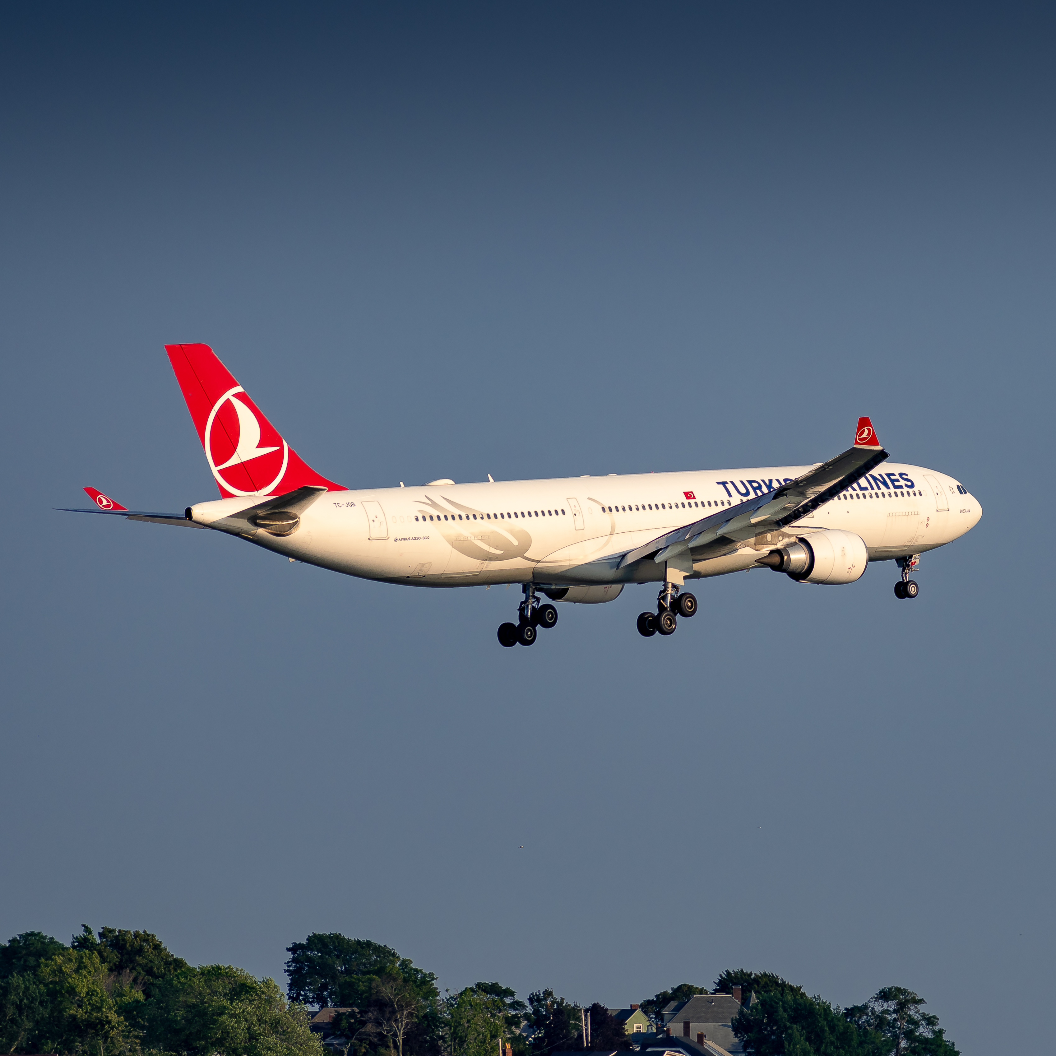 Full size: Turkish Airlines Airbus A330-300 TC-JOB at General Edward Lawrence Logan International Airport