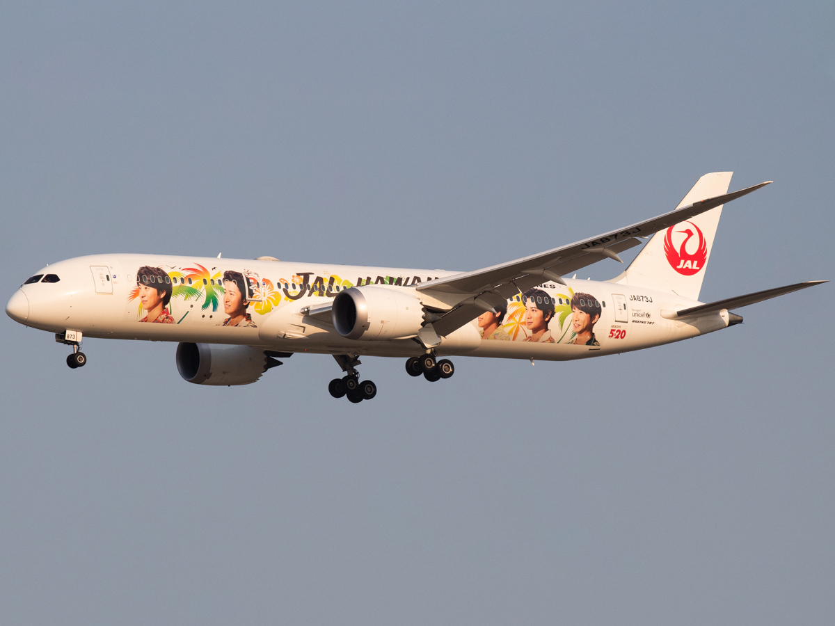 Full size: Japan Airlines  Boeing 787-9 JA873J at Dallas-Fort Worth International Airport