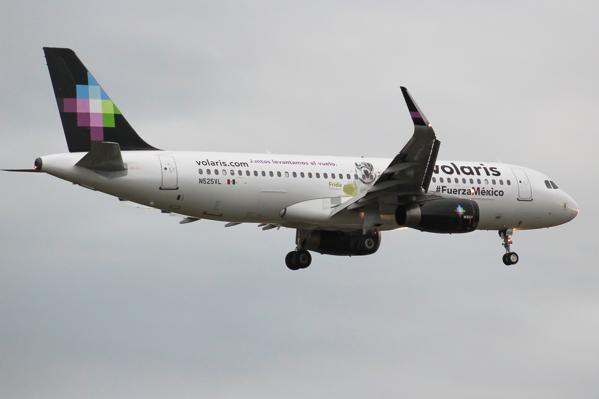 Full size: Volaris Airbus A320 N525VL at Seattle-Tacoma International Airport