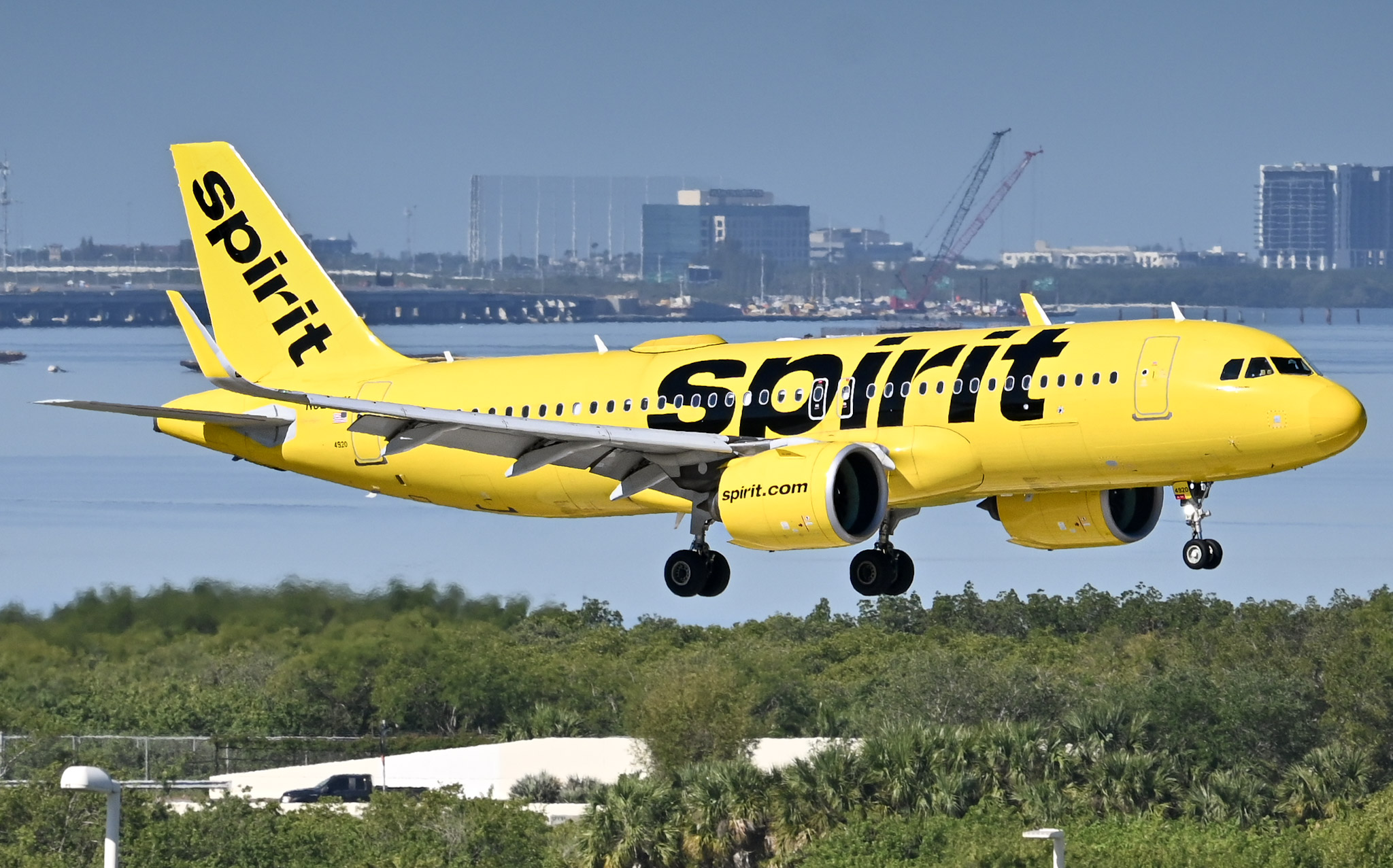 Full size: Spirit Airlines Airbus A320NEO N920NK at Tampa International Airport