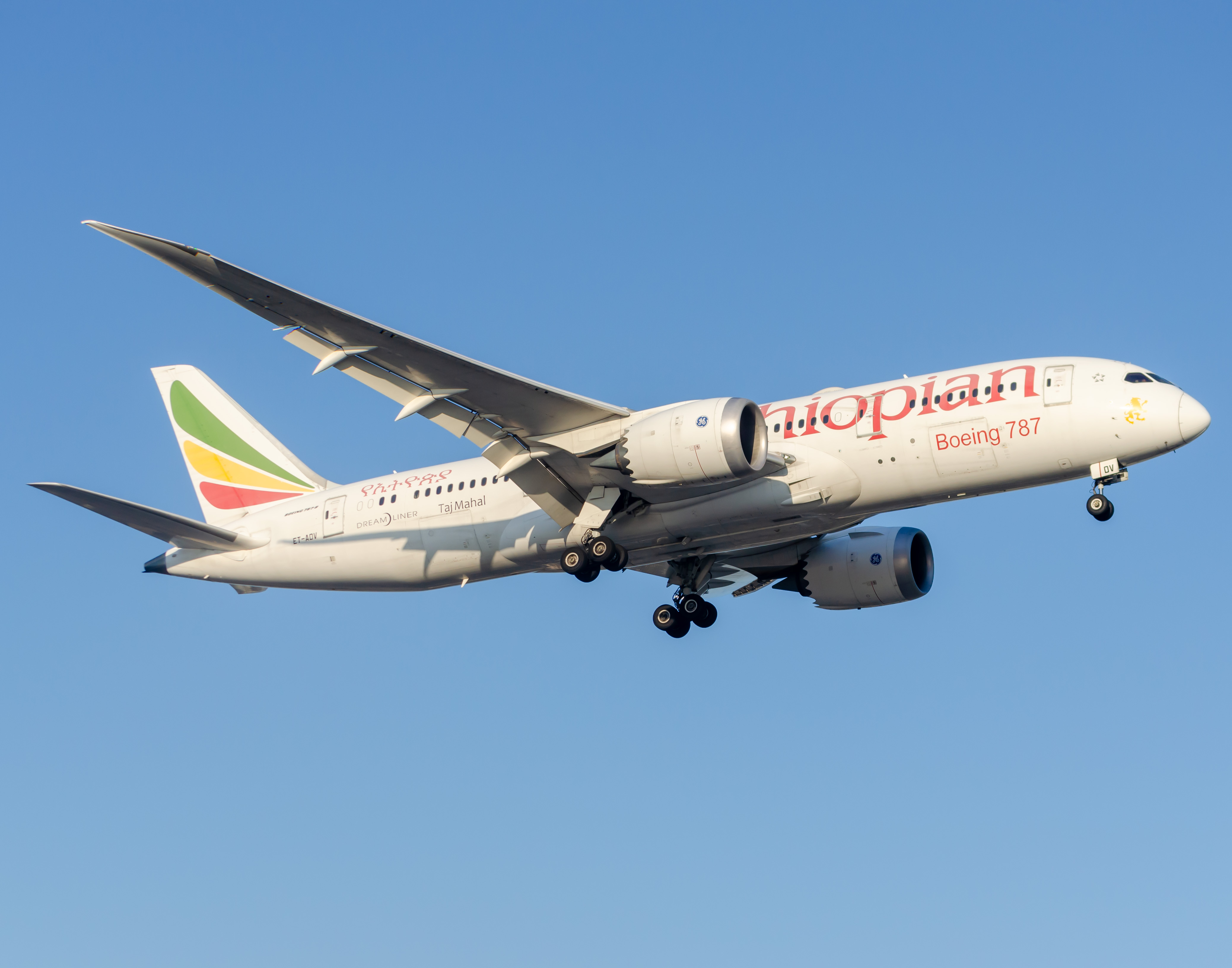 Full size: Ethiopian Airlines Boeing 787-8 ET-ADV  at Newark Liberty International Airport