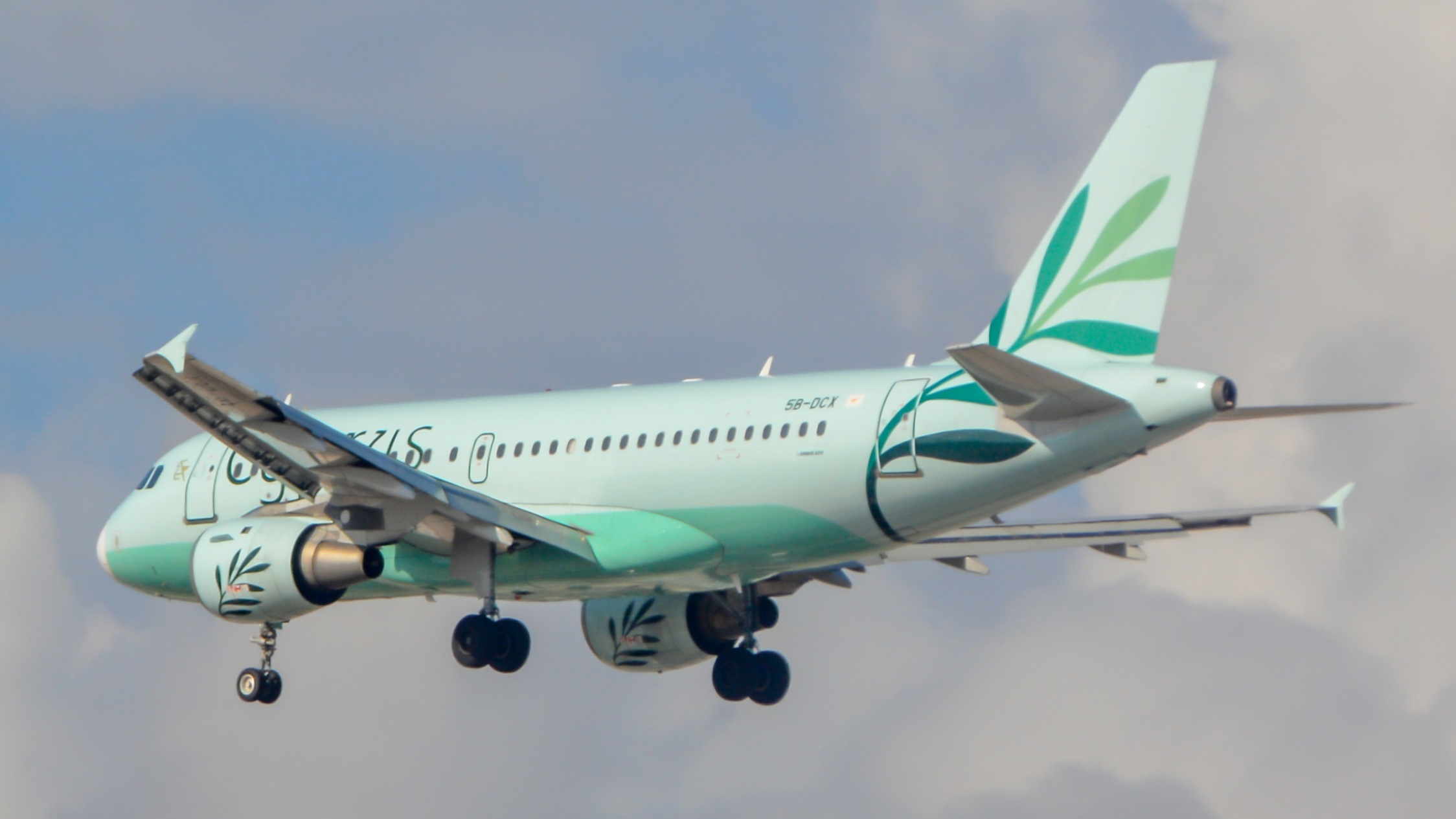 Full size: Cyprus Airways Airbus A319 5B-DCX at Tel Aviv-Ben Gurion Airport
