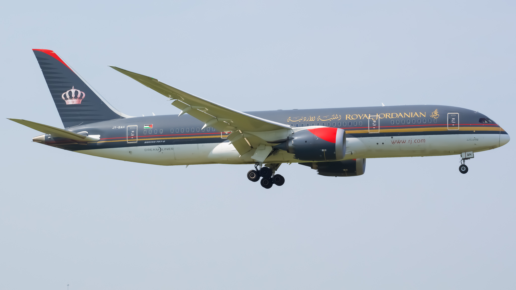 Full size: Royal Jordanian Boeing 787-8 JY-BAH at Chicago O'Hare International Airport
