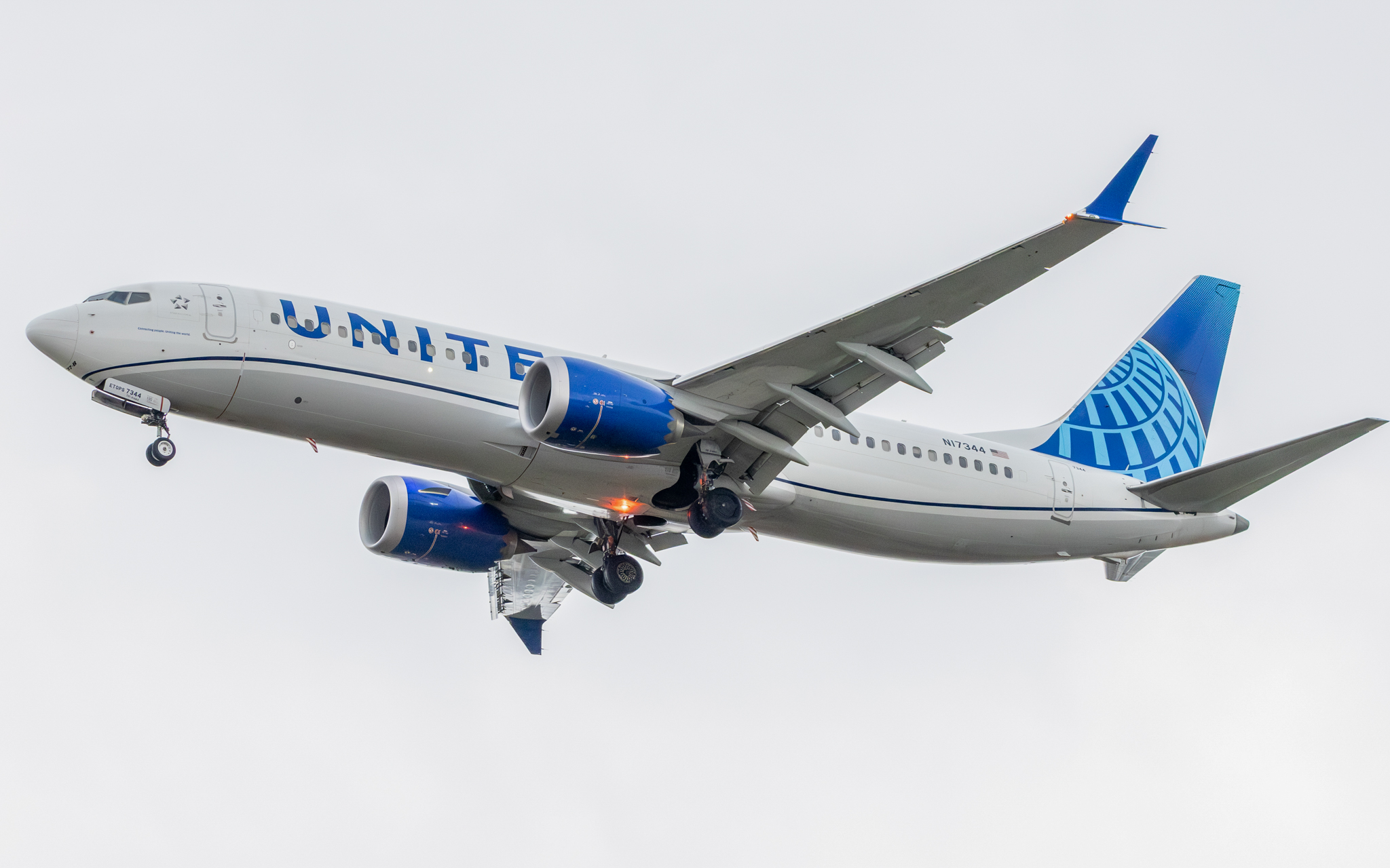 Full size: United Airlines Boeing 737 MAX 8 N17344 at Tampa International Airport