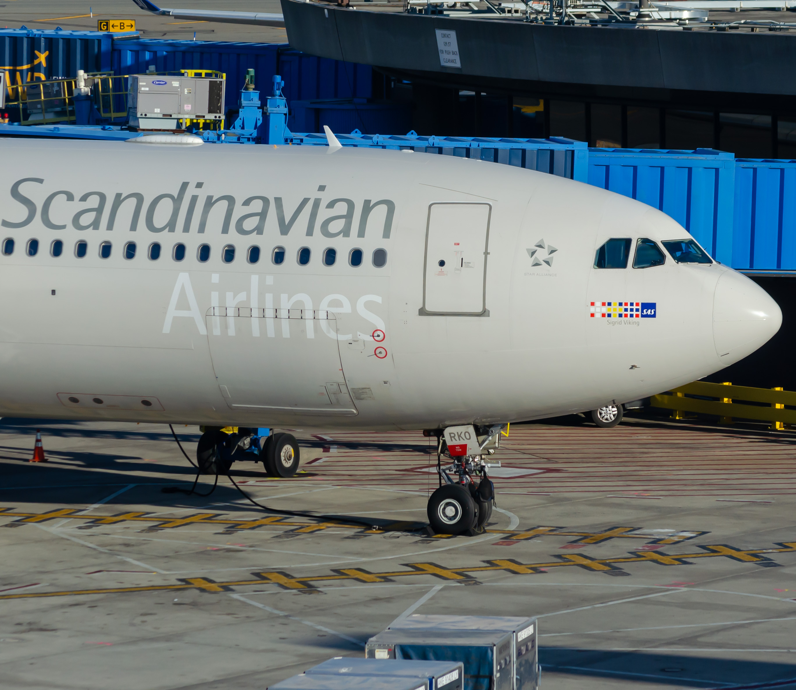 Full size: Scandinavian Airlines Airbus A330-300 LN-RKO at Newark Liberty International Airport