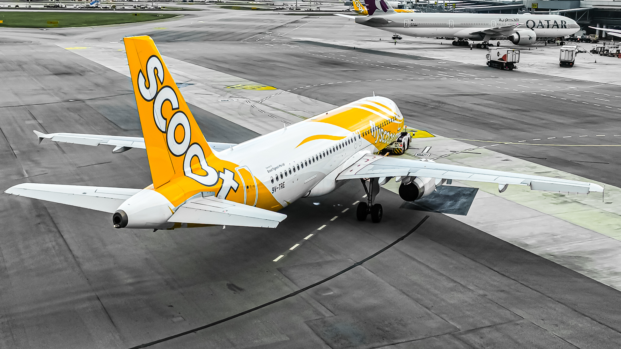 Full size: Scoot A320-232 9V-TRE at Singapore-Changi Airport