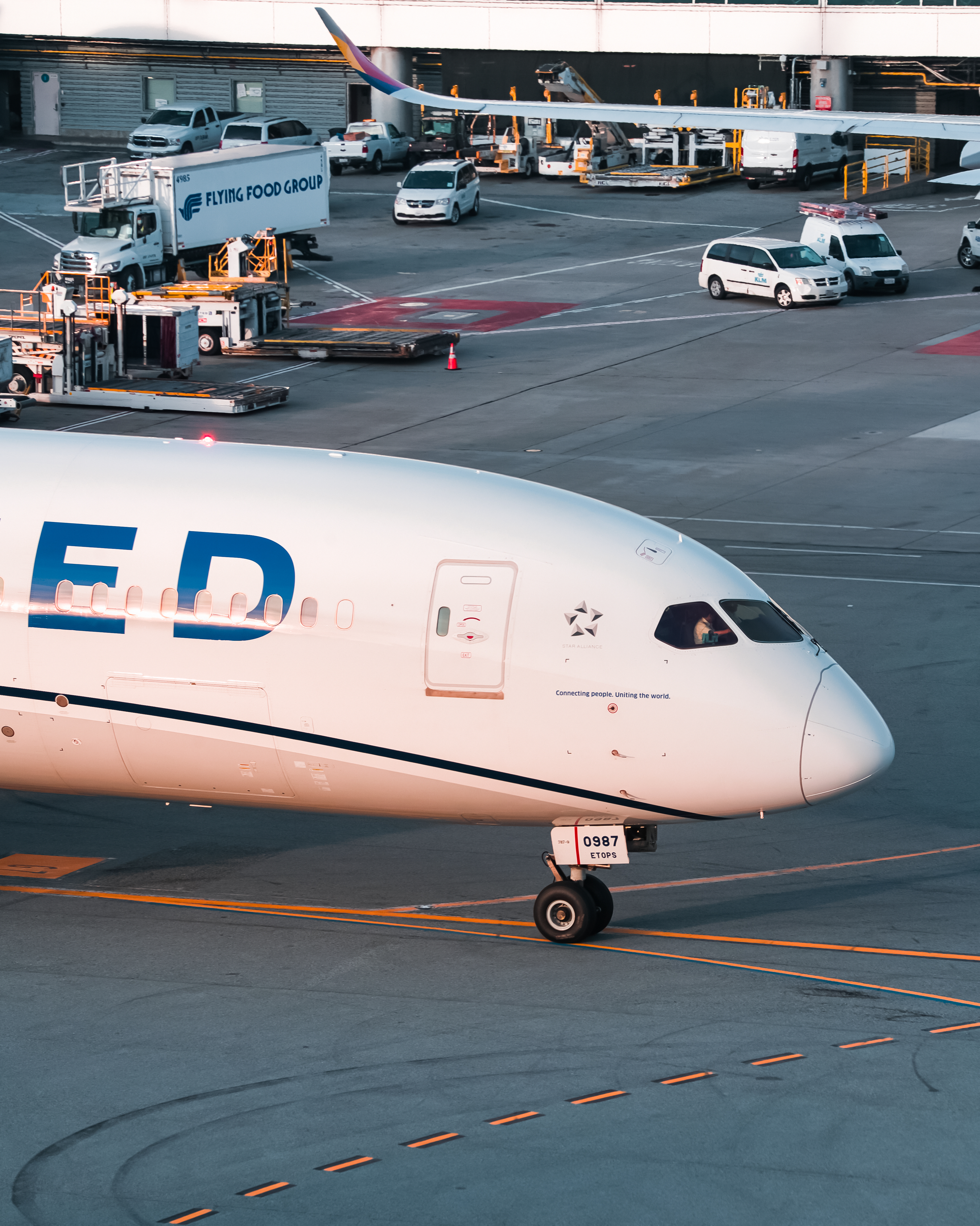 Full size: United Airlines Boeing 787-9 N28987 at San Francisco International Airport