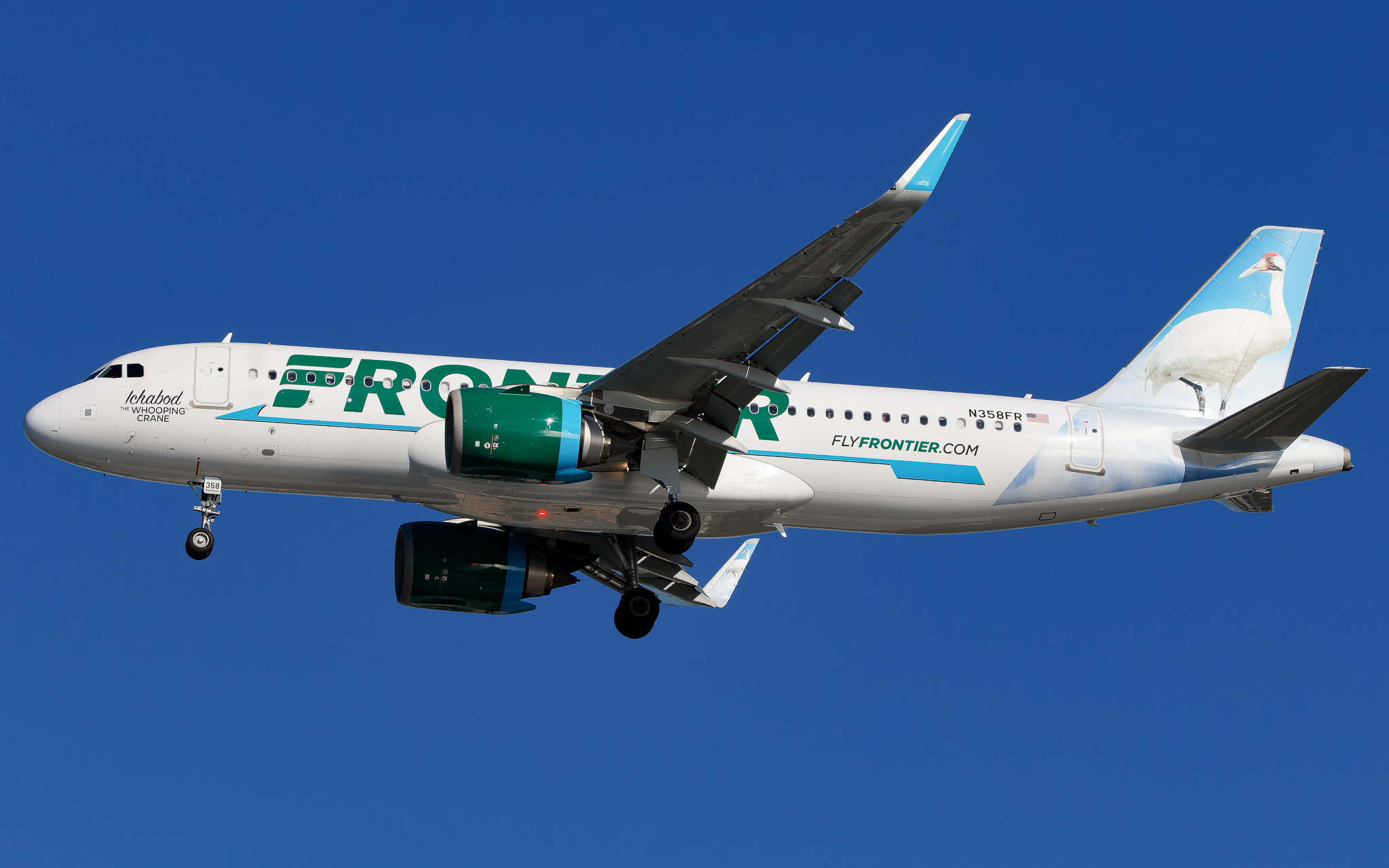 Full size: Frontier Airlines Airbus A320NEO N358FR at Tampa International Airport