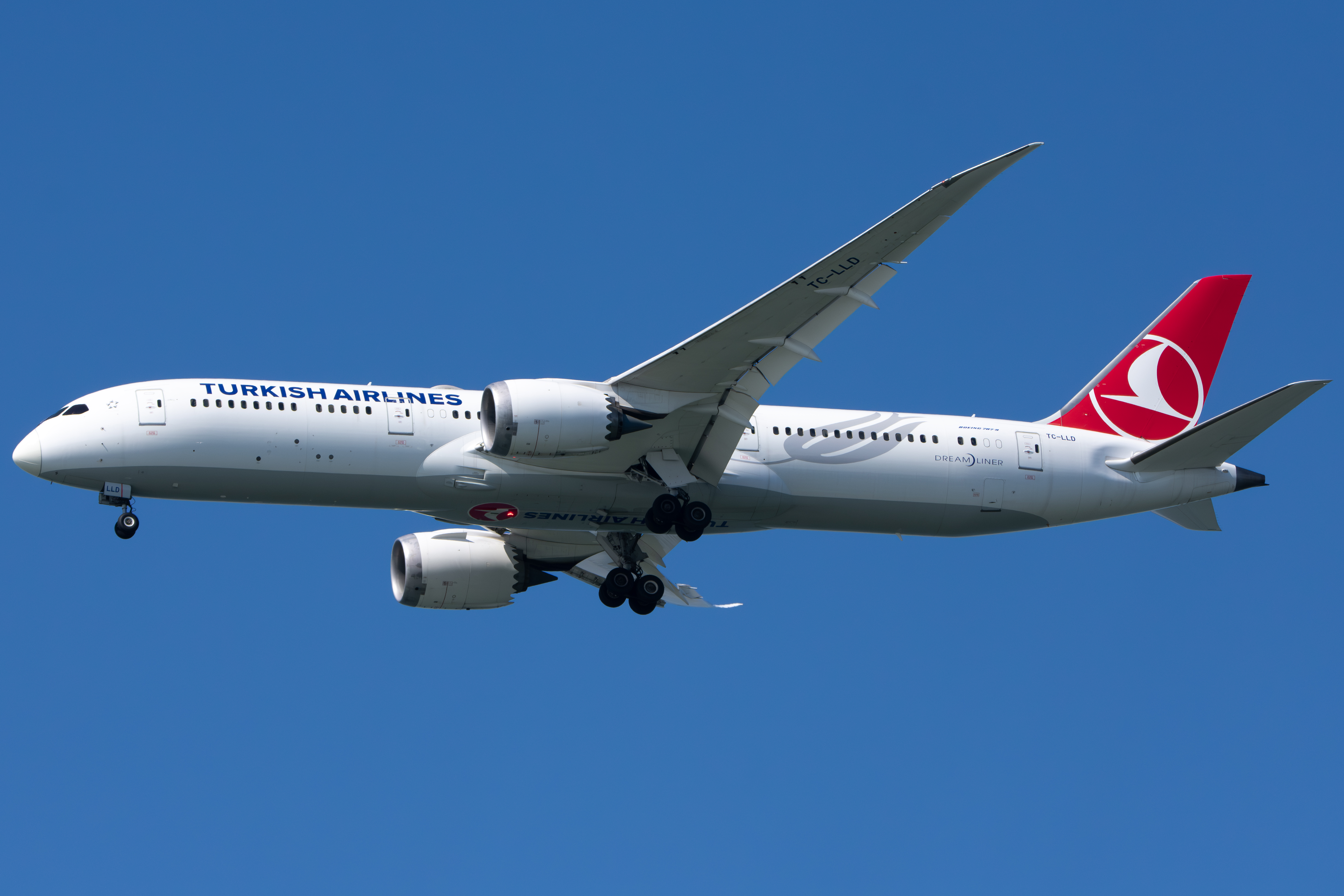 Full size: Turkish Airlines Boeing 787-9 TC-LLD at San Francisco International Airport