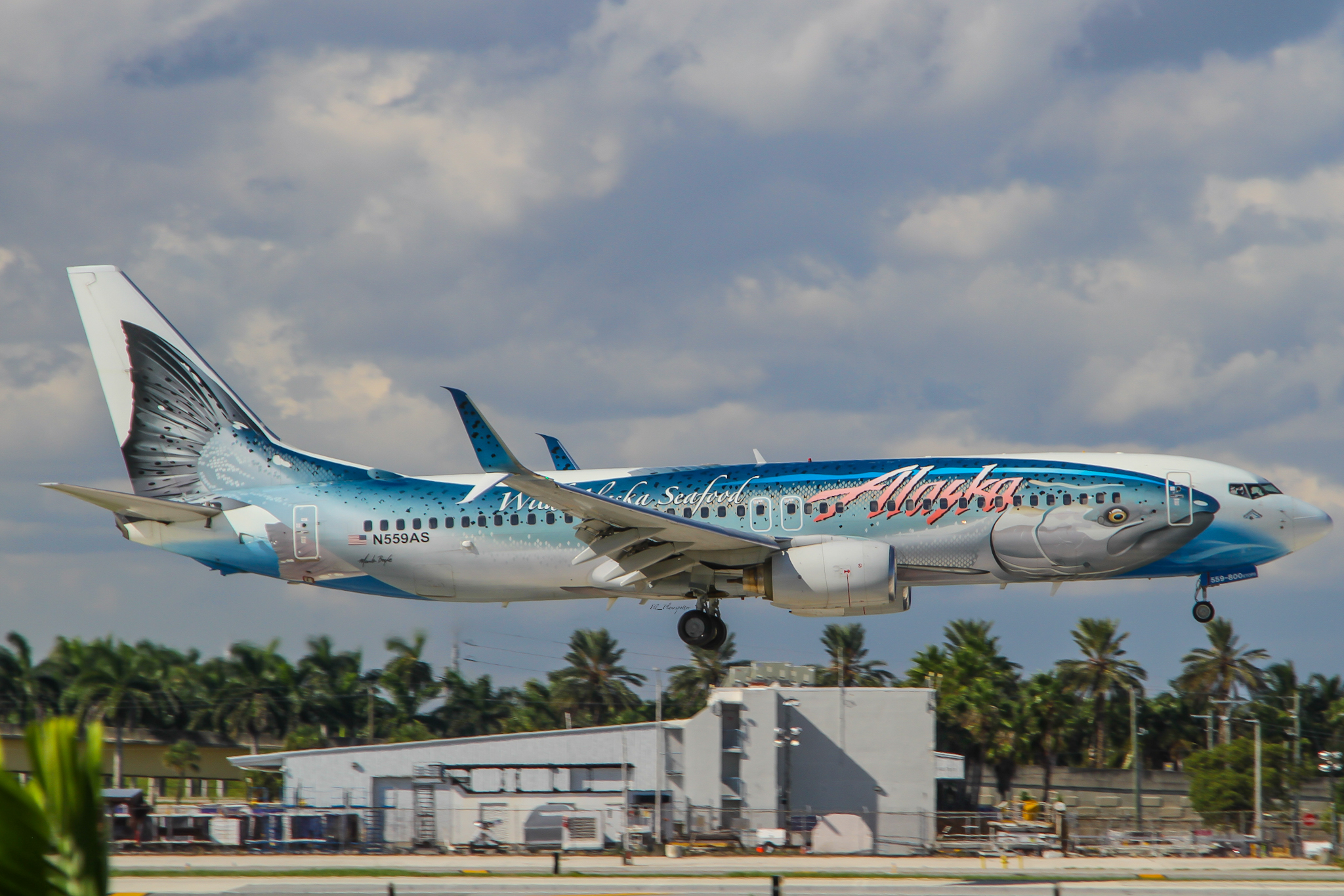 Full size: Alaska Airlines Boeing 737-800 N559AS at Fort Lauderdale/Hollywood International Airport