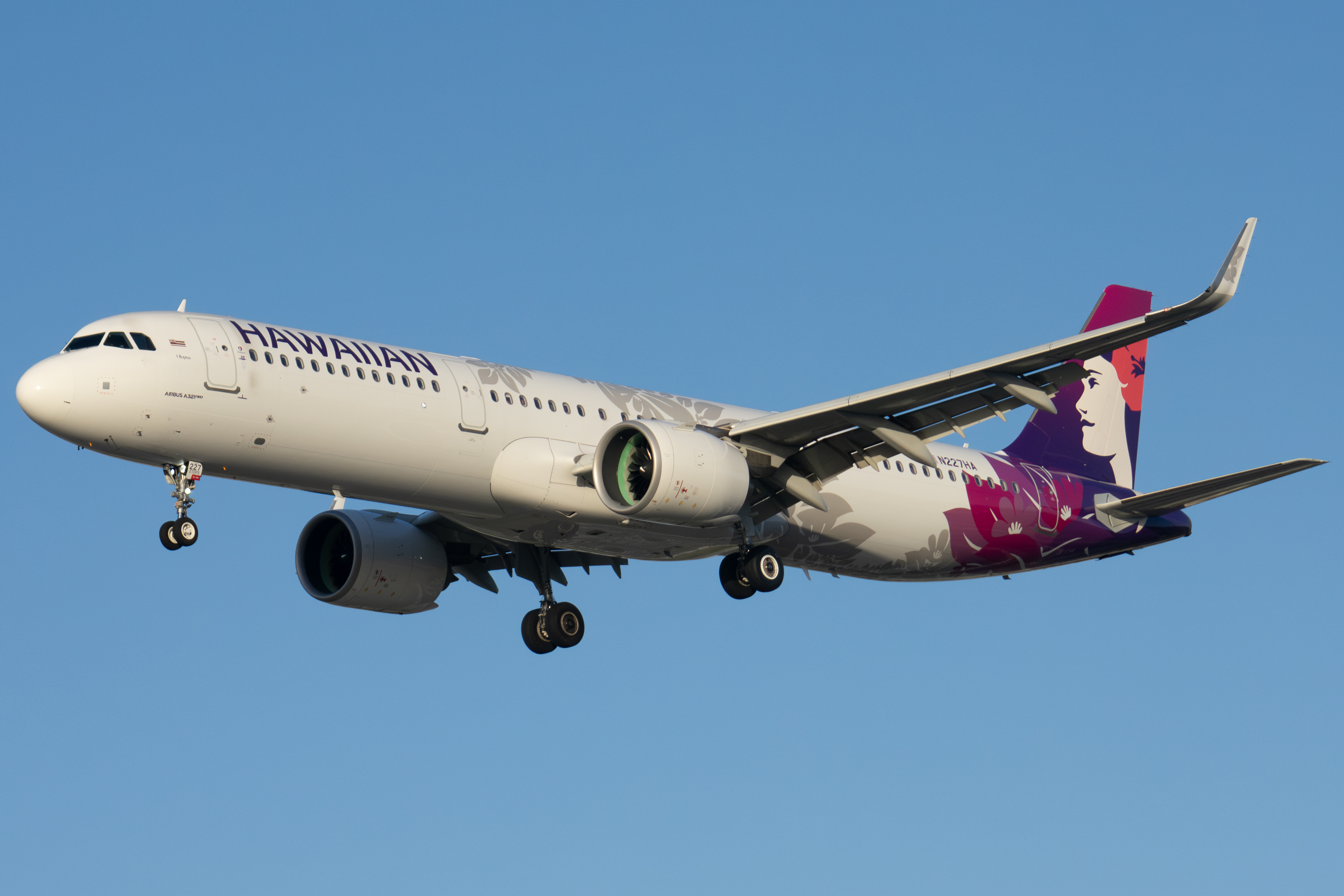 Full size: Hawaiian Airlines Airbus A321NEO N227HA at Norman Y Mineta San Jose International Airport
