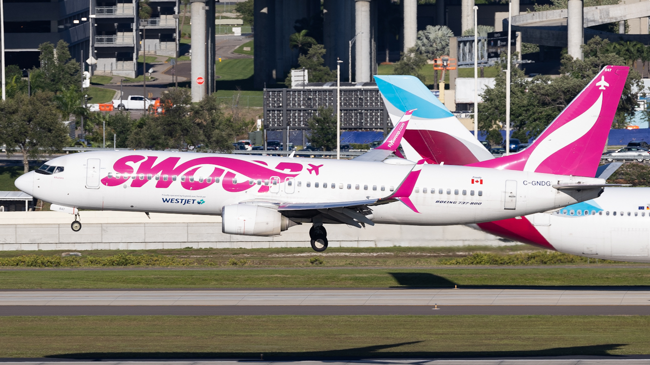 Full size: WestJet Boeing 737-800 C-GNDG at Tampa International Airport