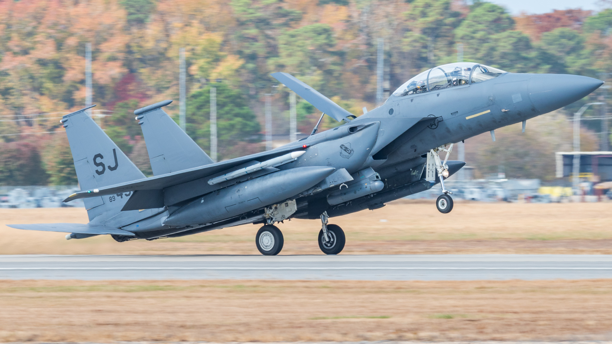 Full size: USAF - United States Air Force McDonnell Douglas F-15 Eagle 89-0495 at Seymour Johnson AFB