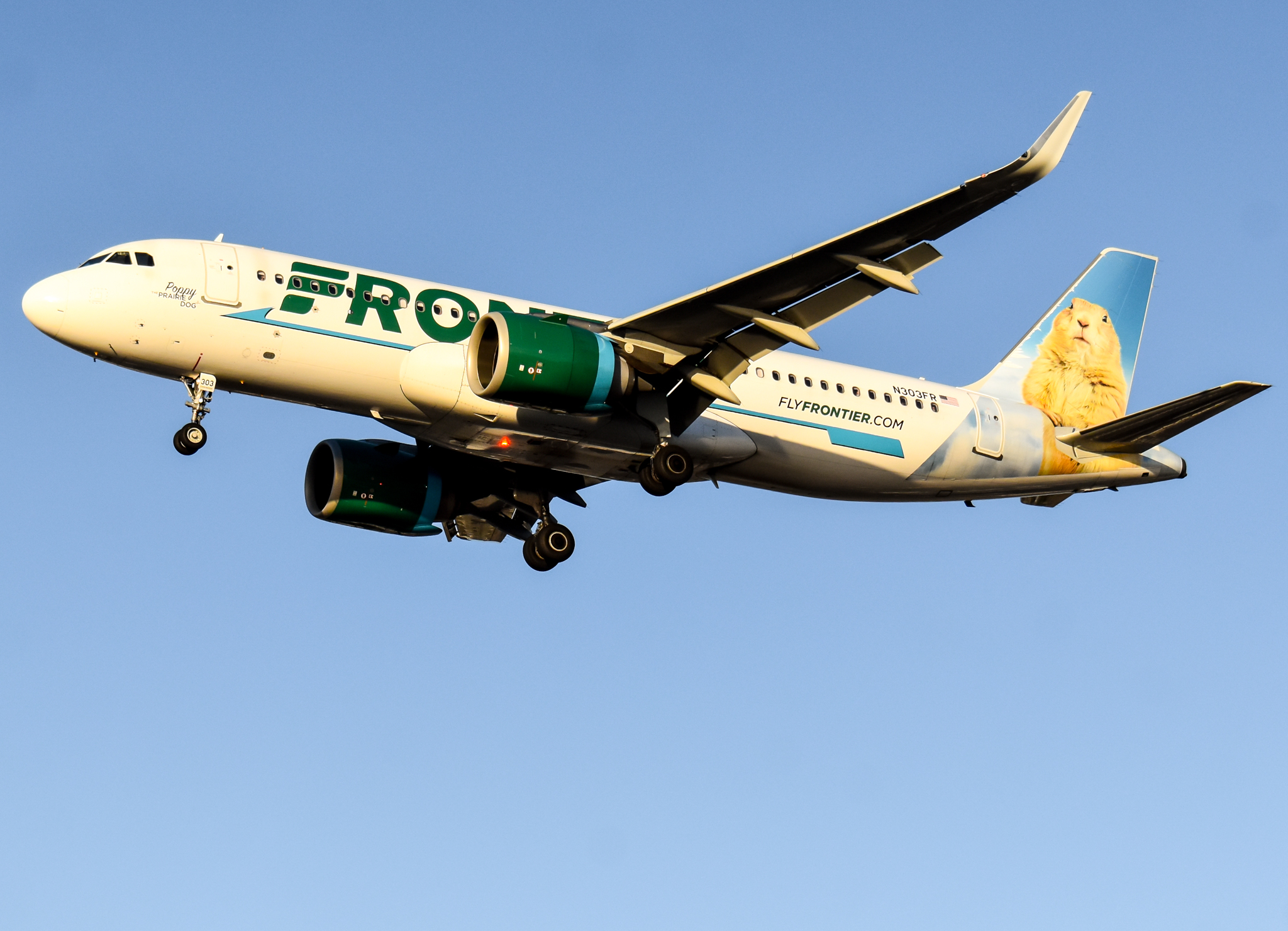 Full size: Frontier Airlines Airbus A320NEO N303FR at San Diego International Airport