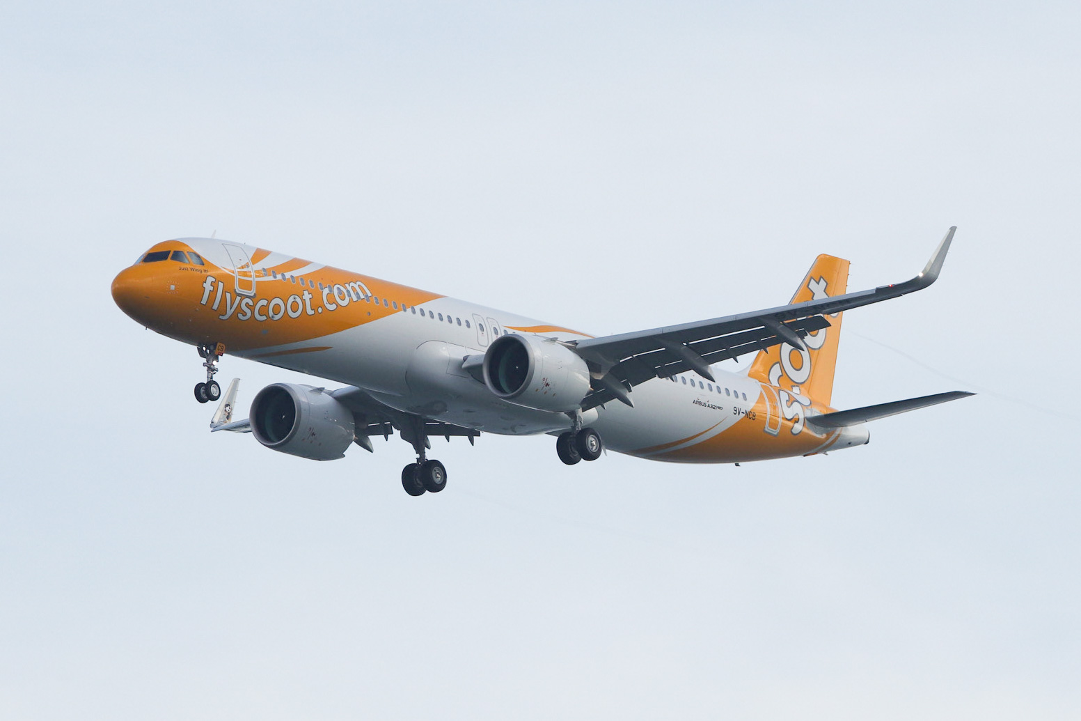 Full size: Scoot  Airbus A321NEO 9V-NCB at Singapore-Changi Airport
