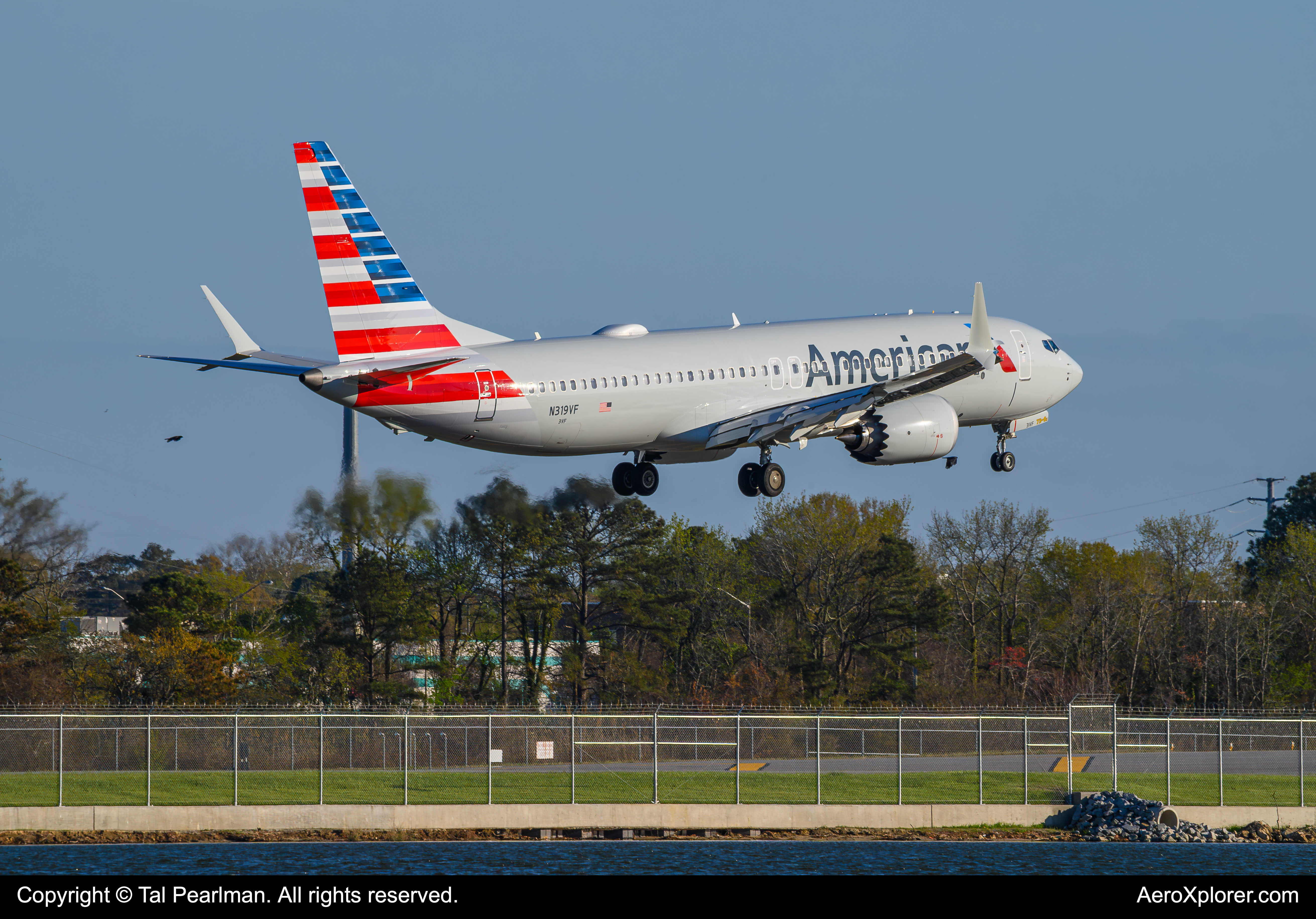 Full size: American Airlines Boeing 737 MAX 8 N319VF at Norfolk International Airport