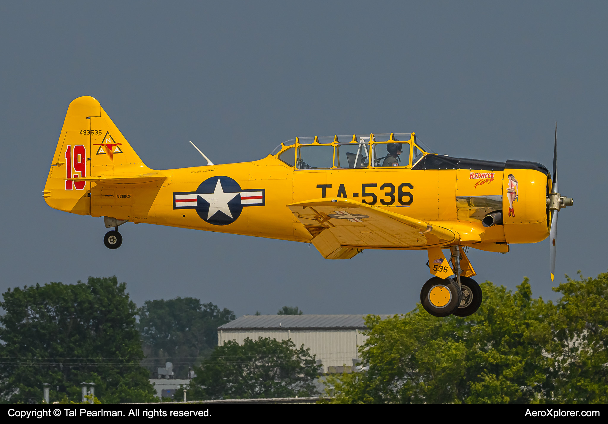 Full size: PRIVATE North American T-6 Texan N260CF at Wittman Regional Airport