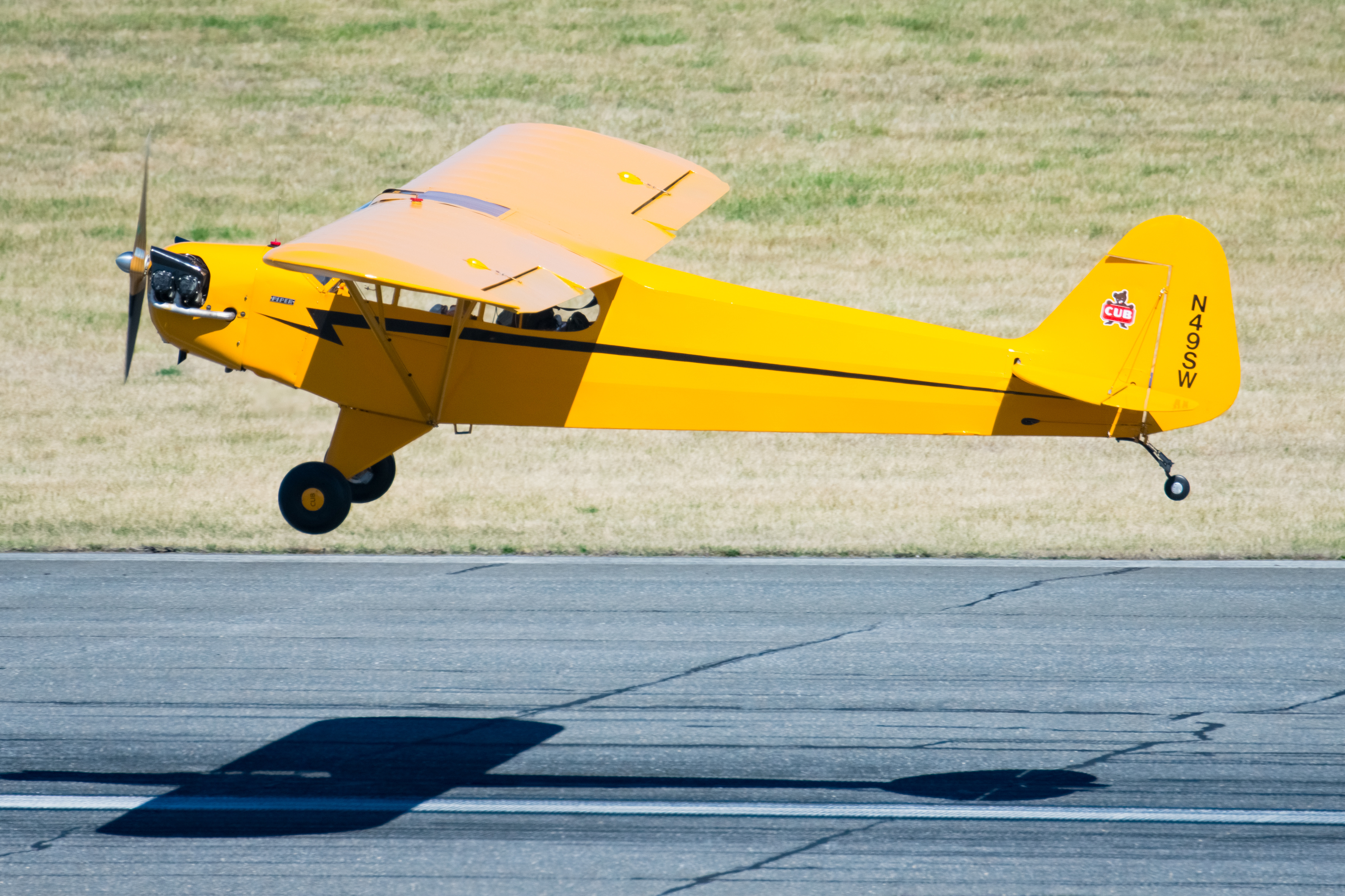 Full size: PRIVATE Piper Cub N49SW at Martin State Airport