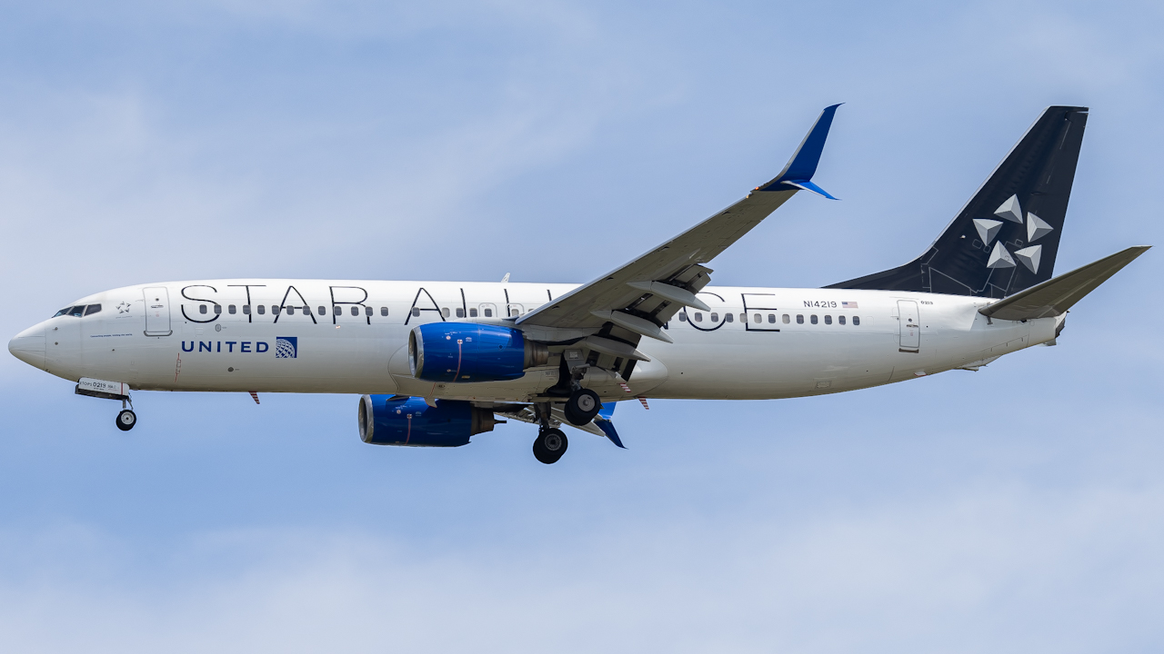Full size: United Airlines Boeing 737-800 N14219 at Tampa International Airport