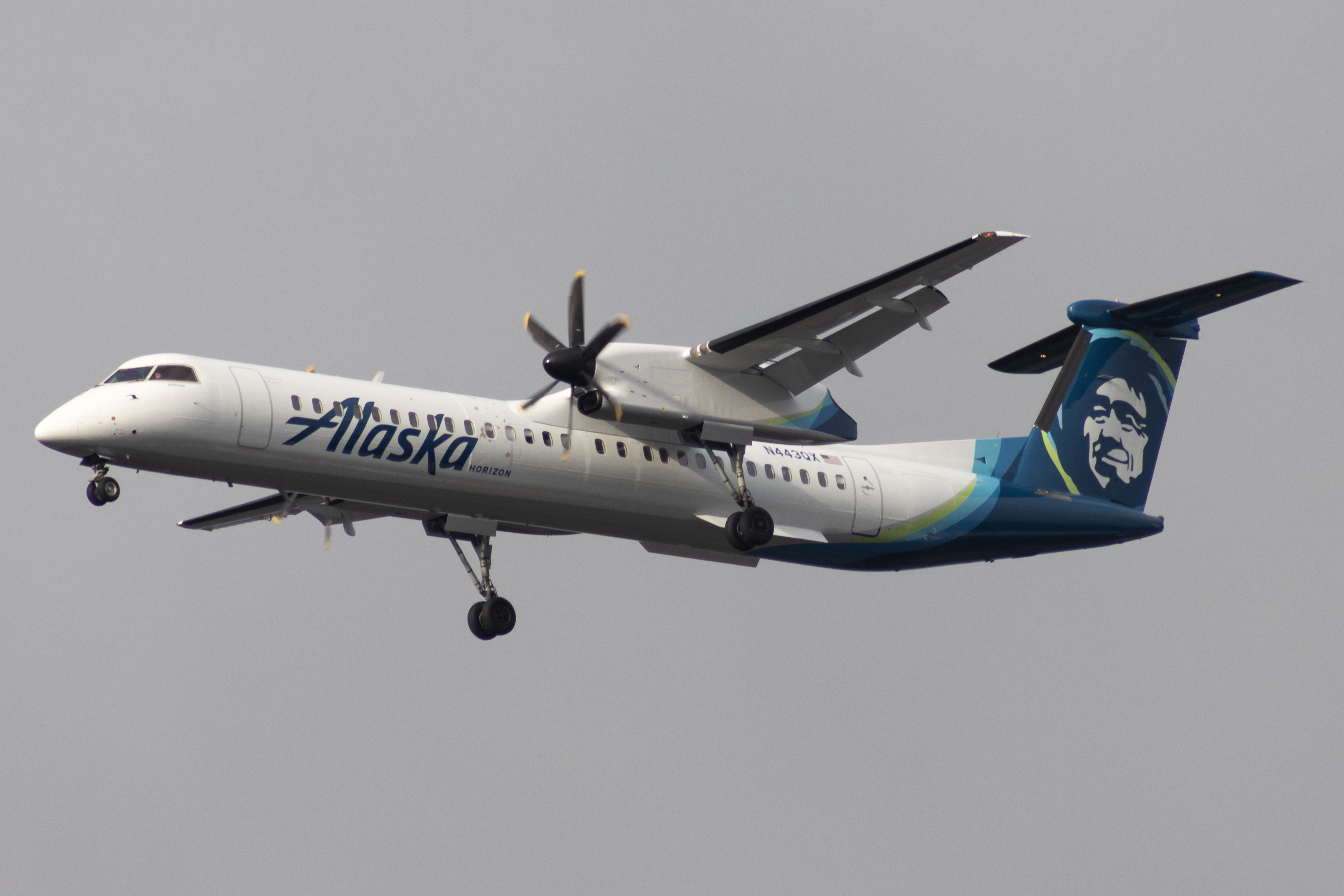 Full size: Horizon Air De Havilland DHC-8 N443QX at Seattle-Tacoma International Airport