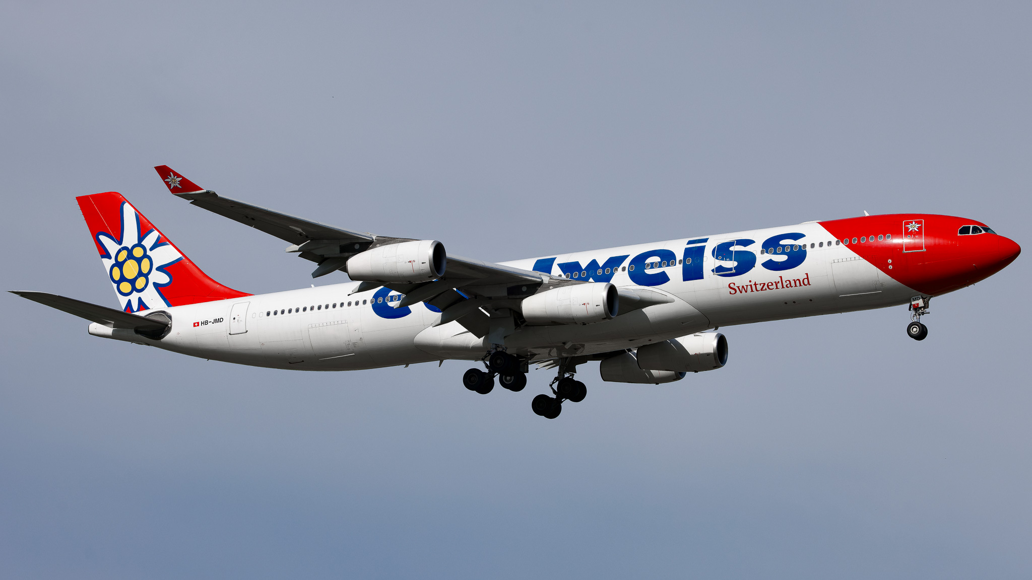 Full size: Edelweiss Air Airbus A340-300 HB-JMD at Tampa International Airport