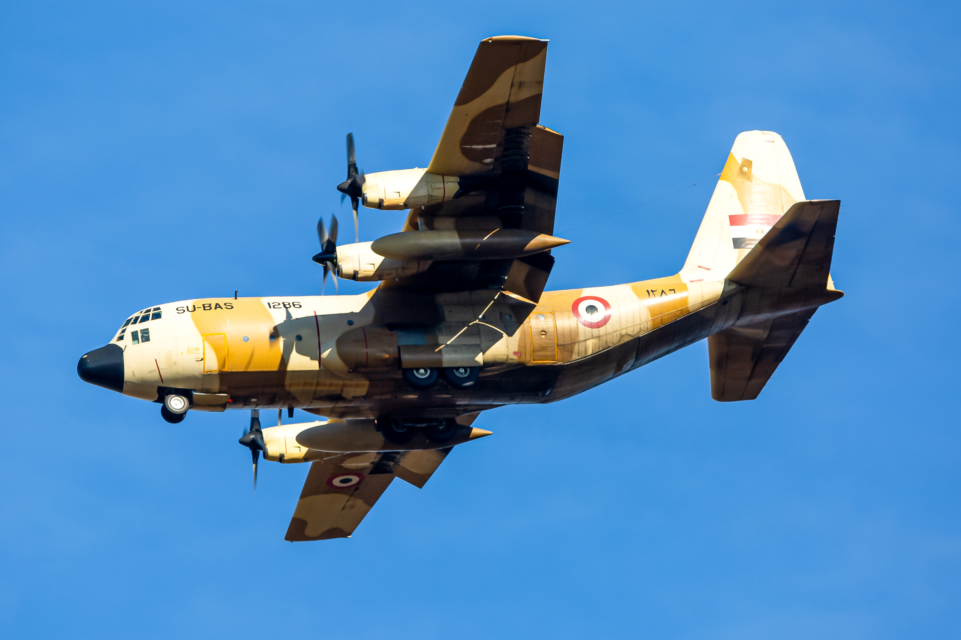Full size: Egypt Air Force Lockheed C-130H Hercules SU-BAS at Baltimore/Washington International Thurgood Marshall Airport