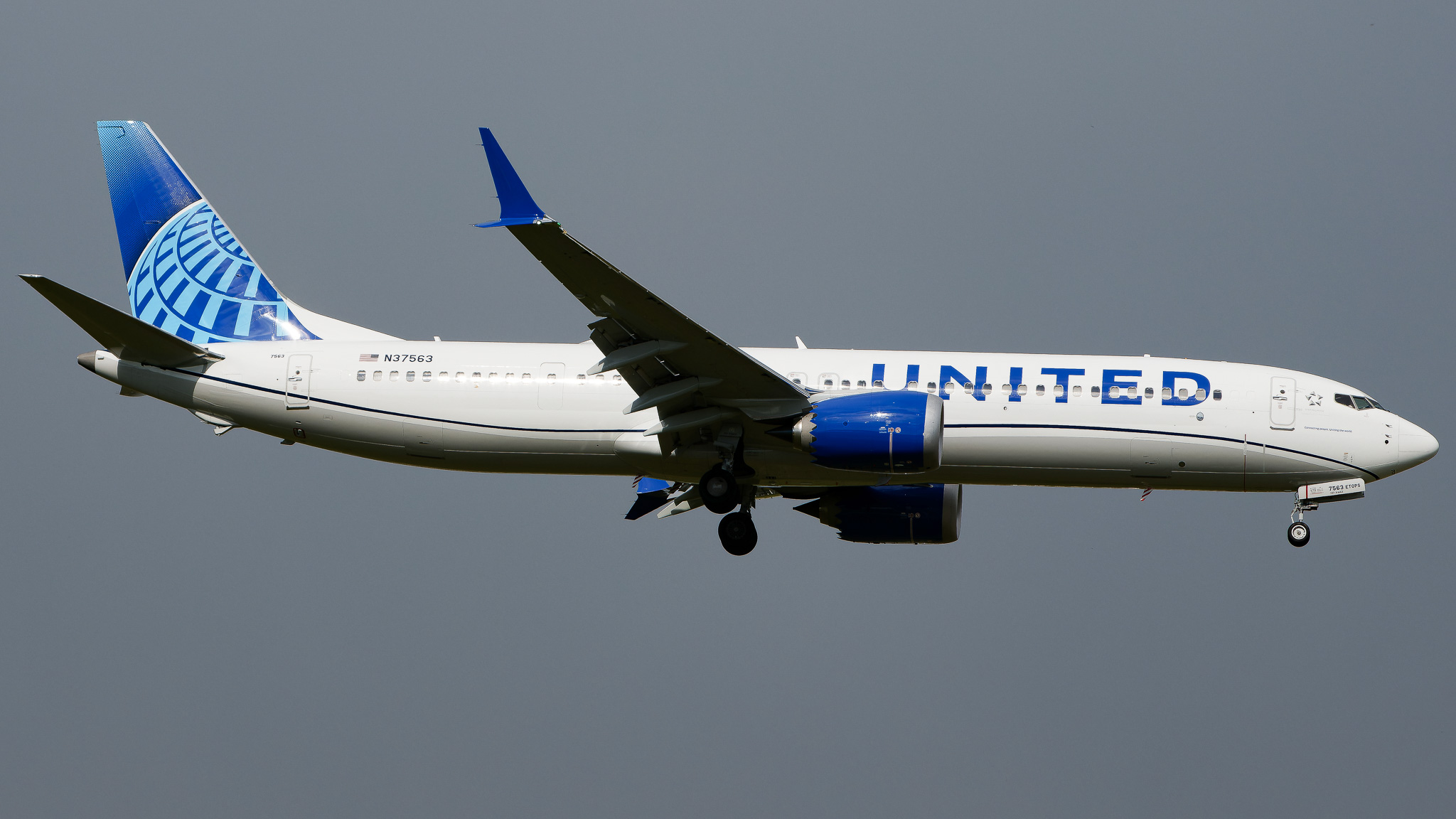 Full size: United Airlines Boeing 737 MAX 9 N37563 at Tampa International Airport
