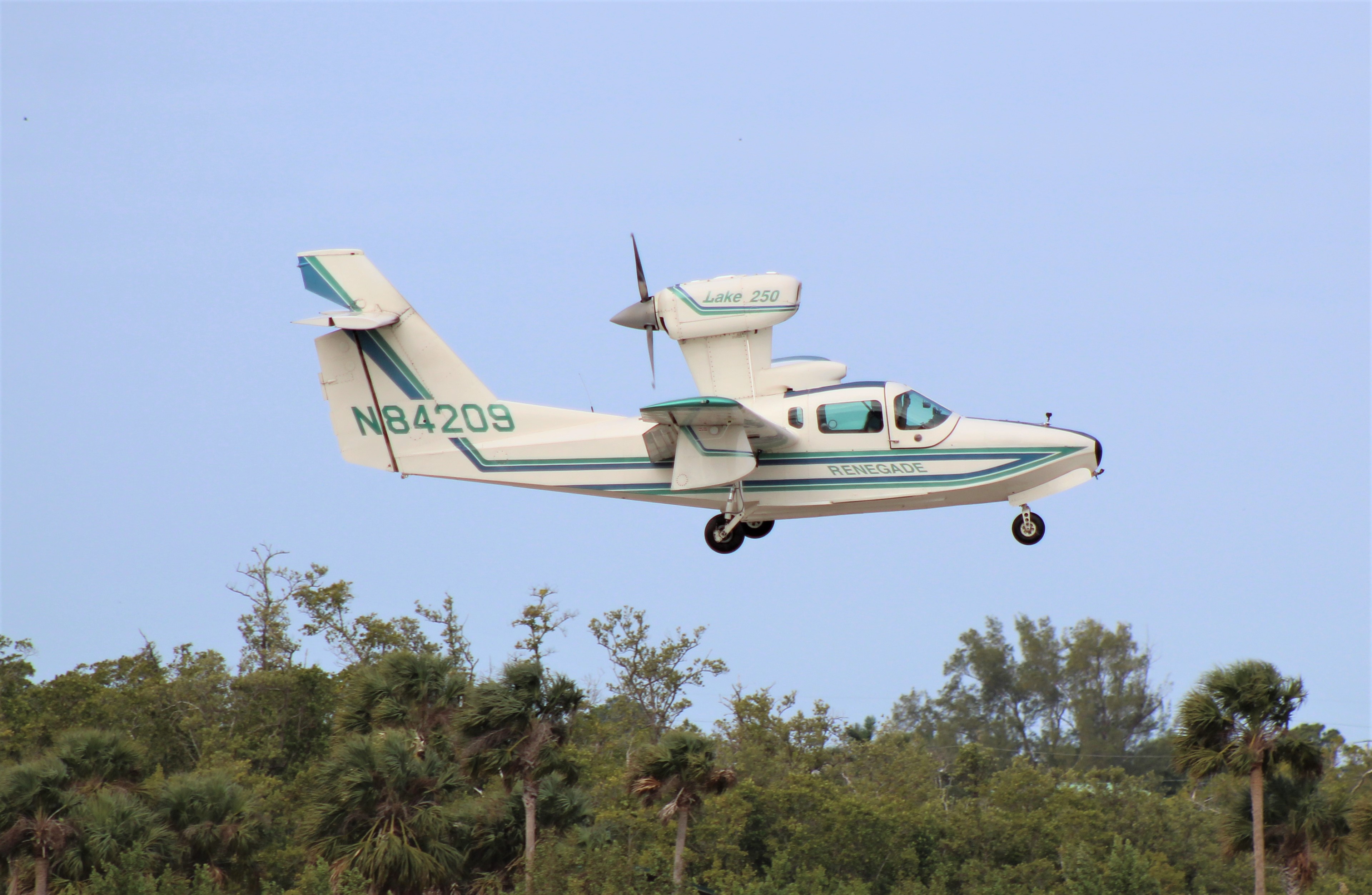 Full size: PRIVATE Lake LA-250 Renegade N84209 at Naples Municipal Airport