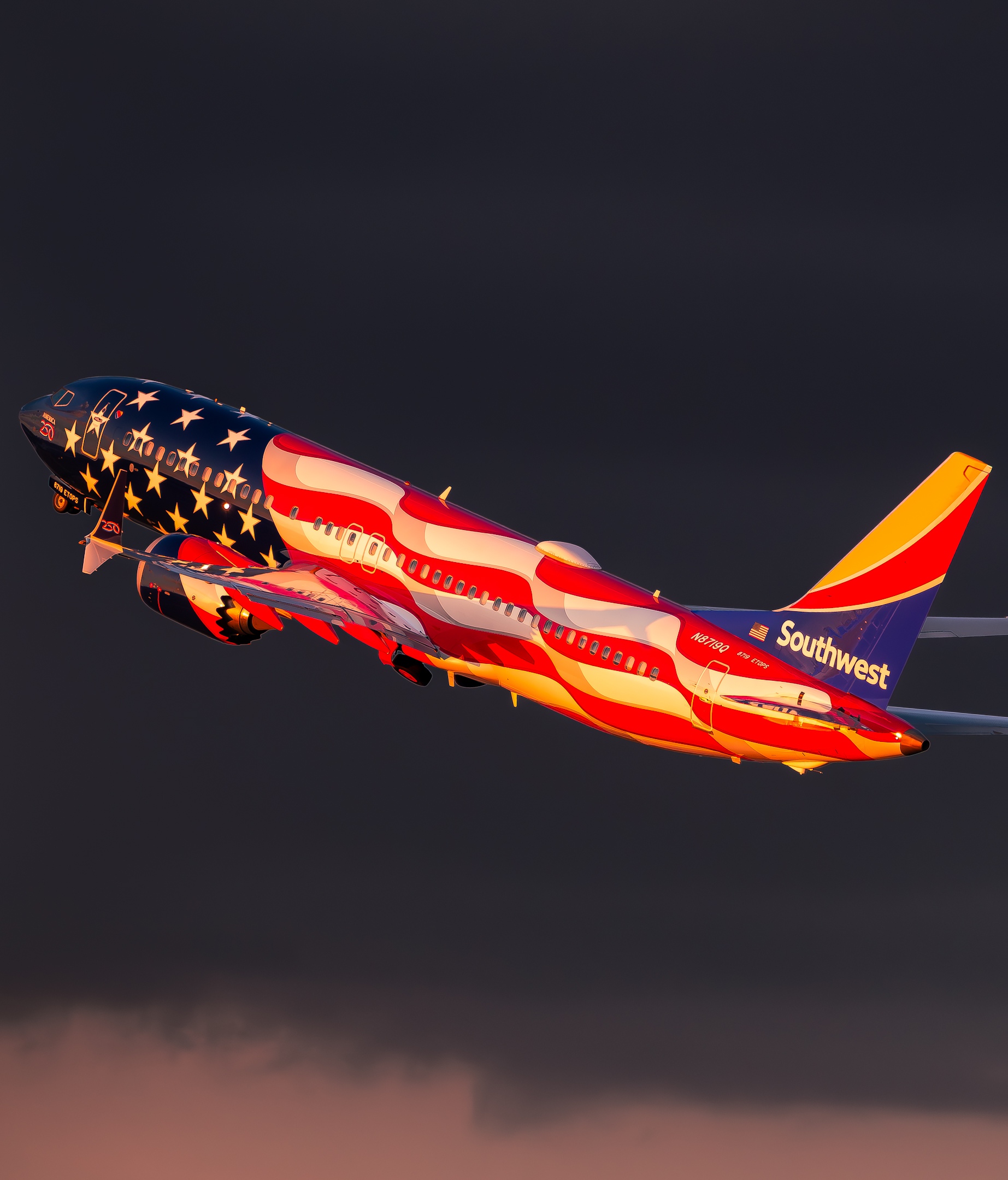 Full size: Southwest Airlines Boeing 737 MAX 8 N8719Q at Tampa International Airport