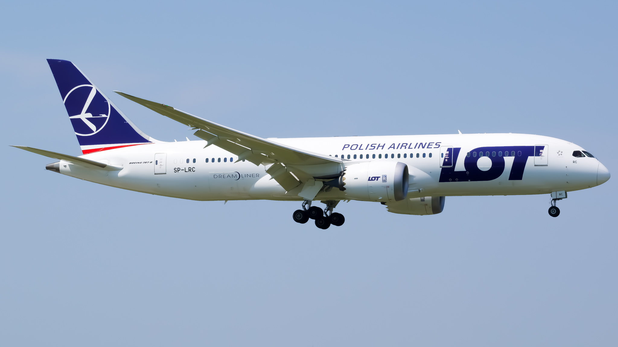 Full size: LOT Polish Airlines Boeing 787-8 SP-LRC at Chicago O'Hare International Airport