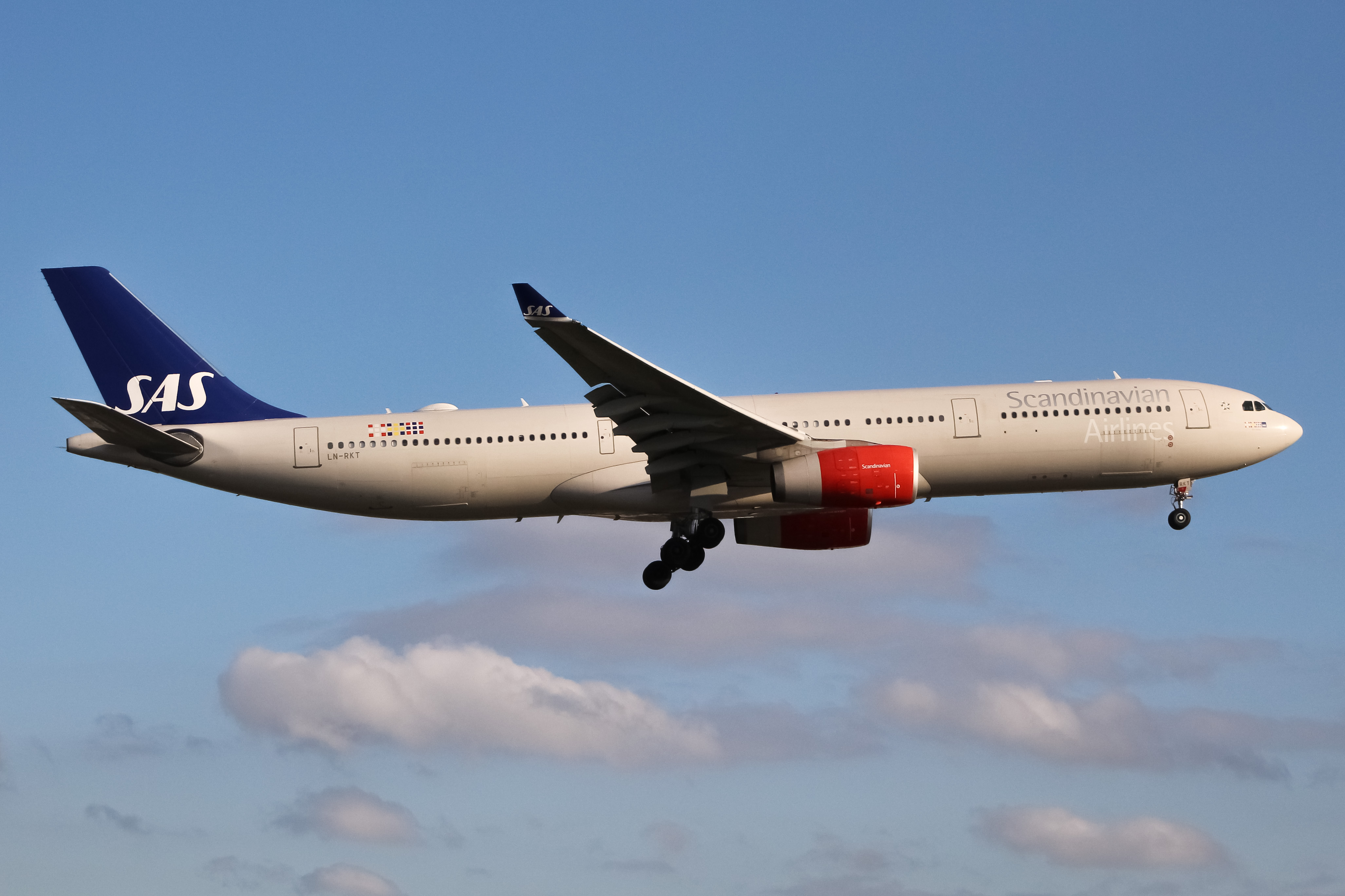 Full size: Scandinavian Airlines Airbus A330-300 LN-RKT at Newark Liberty International Airport