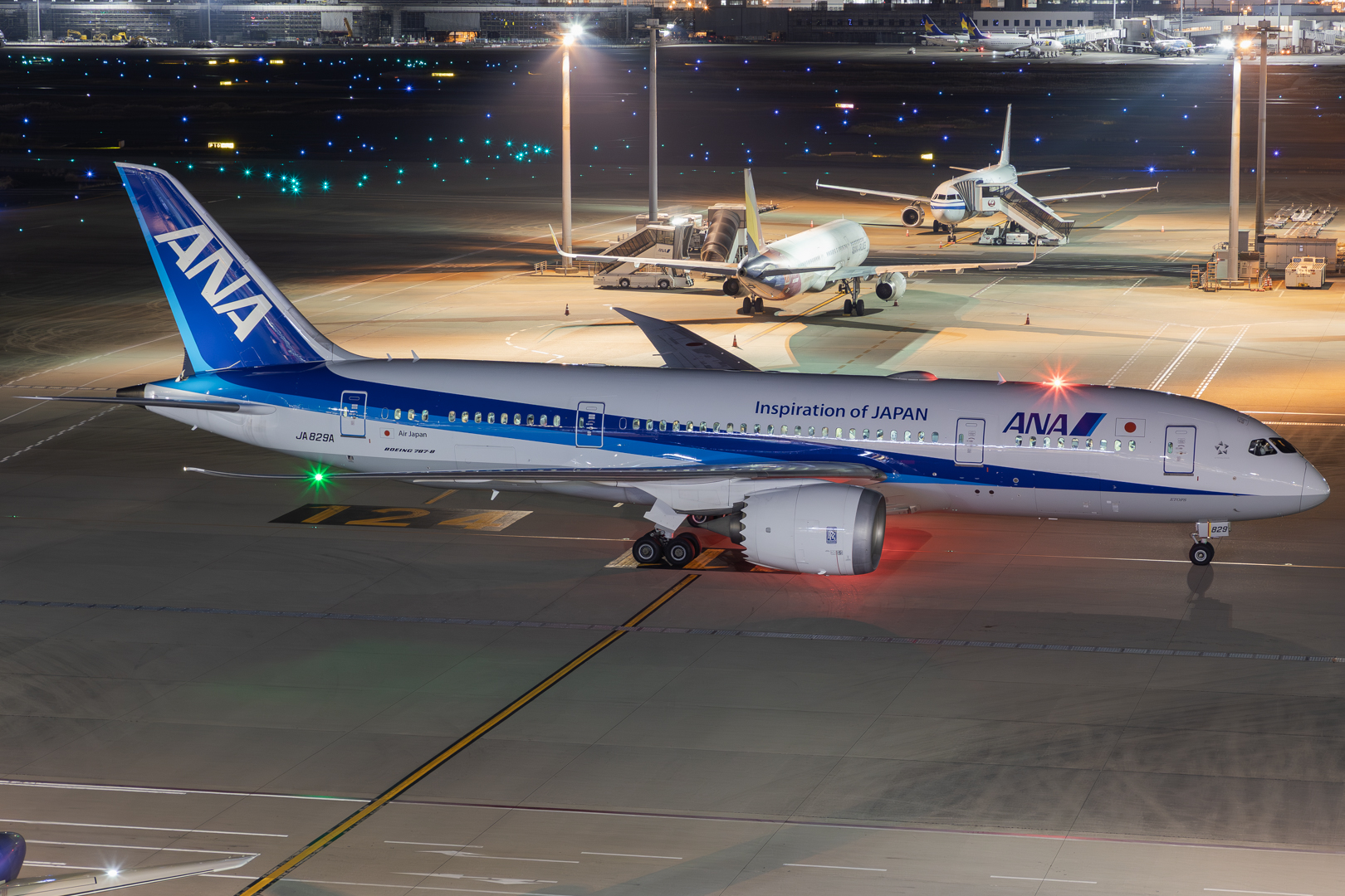 Full size: All Nippon Airways Boeing 787-8 JA829A at Tokyo-Haneda Airport