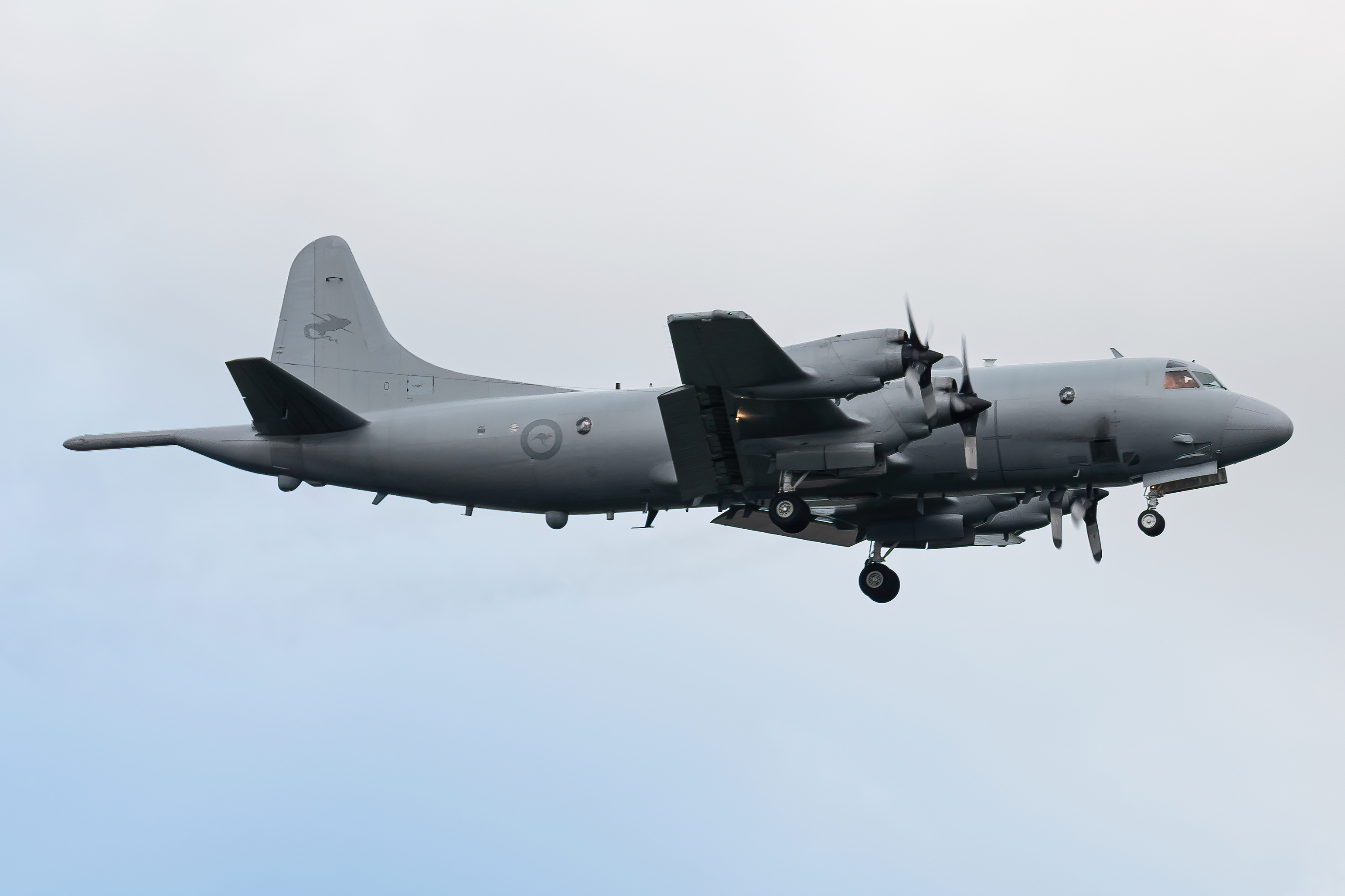 Full size: Royal Australian Air Force Lockheed P-3 Orion A9-660 at Paya Lebar AB